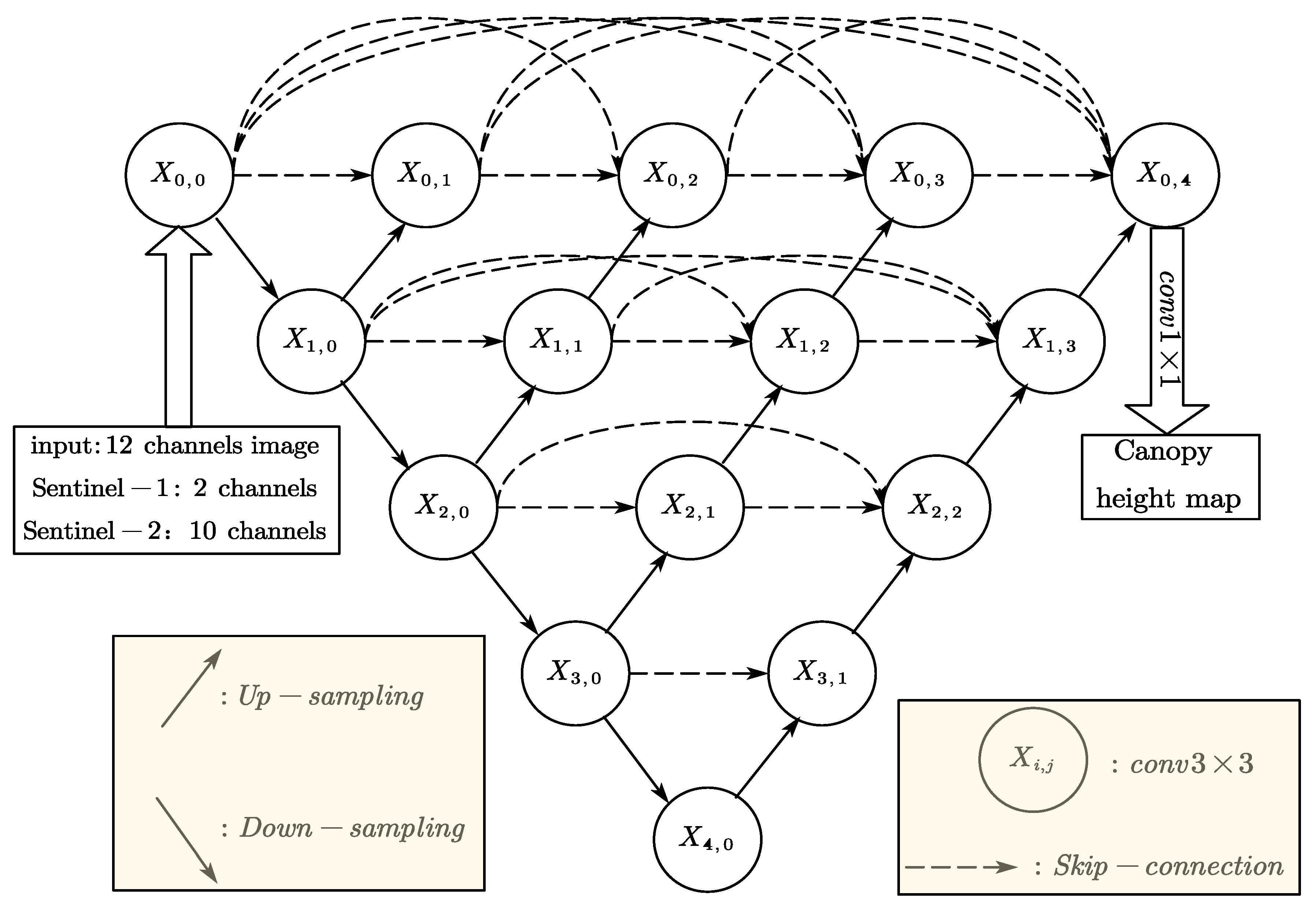 Forests 16 01663 g003