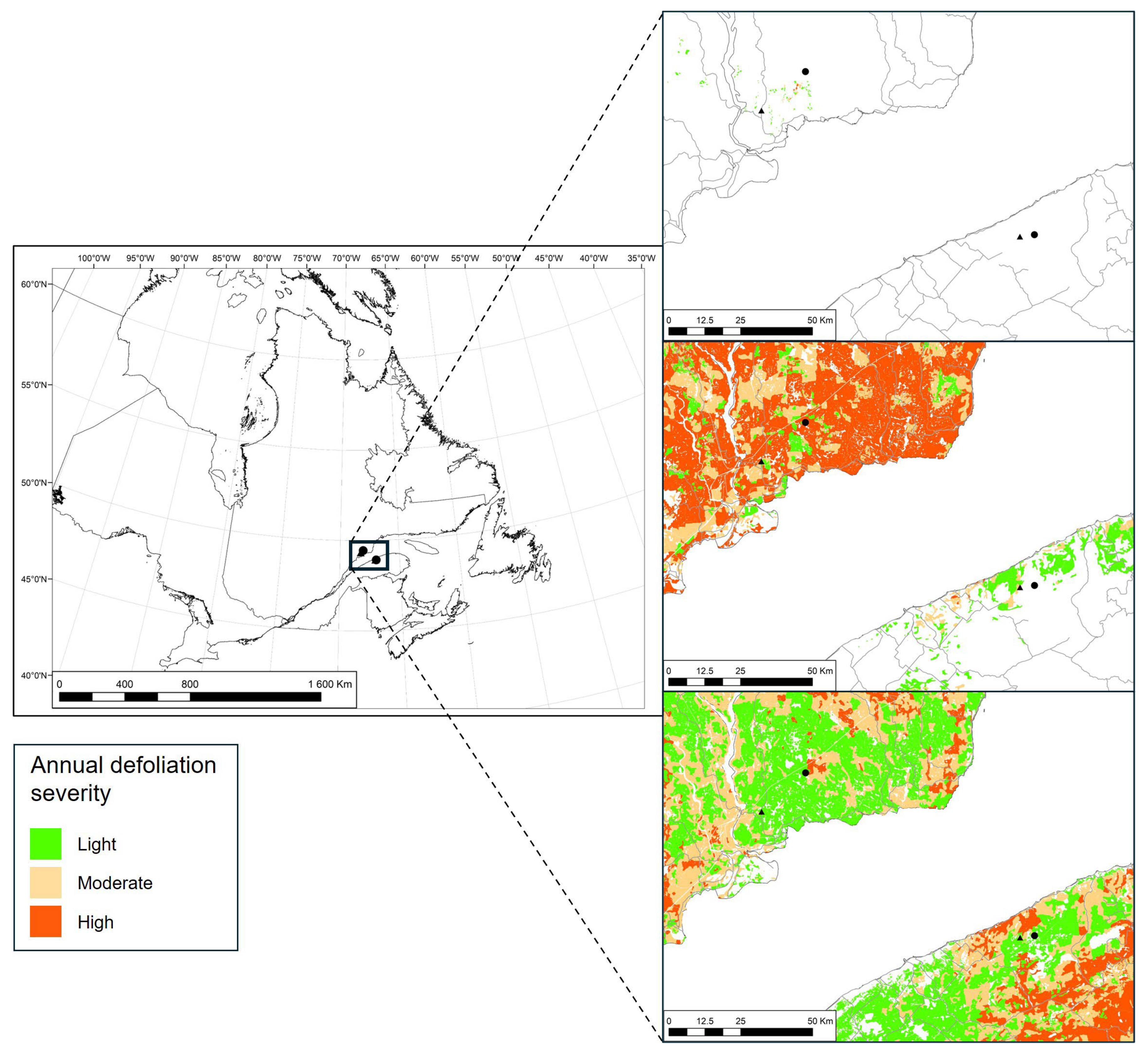 Forests 16 01666 g001