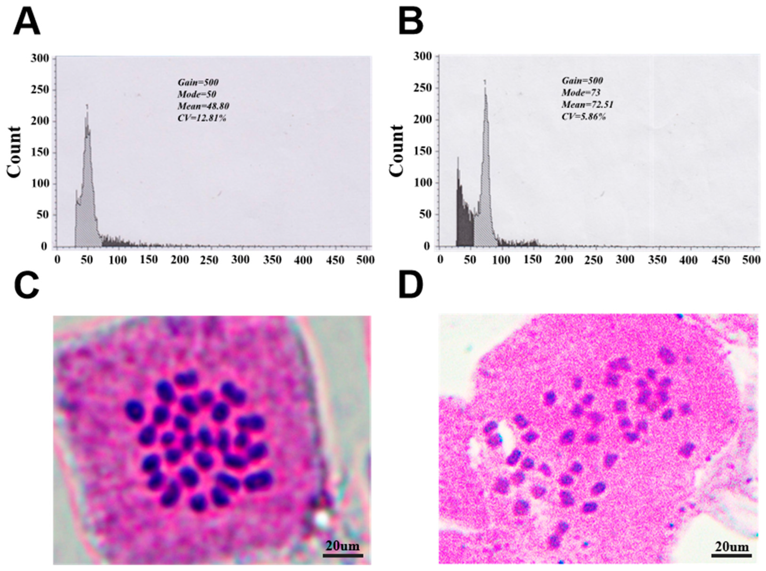 Forests 16 01667 g002 Forests 16 01667 g002