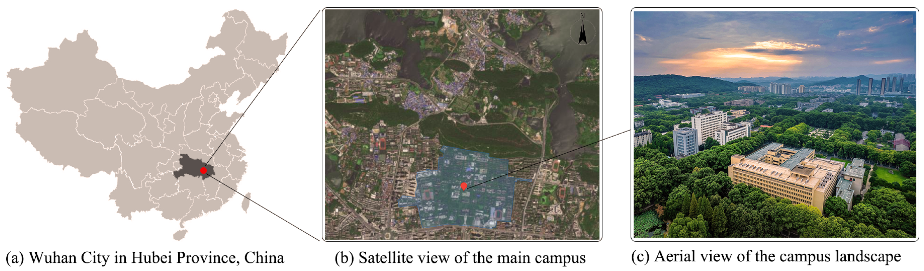 Forests 16 01668 g002