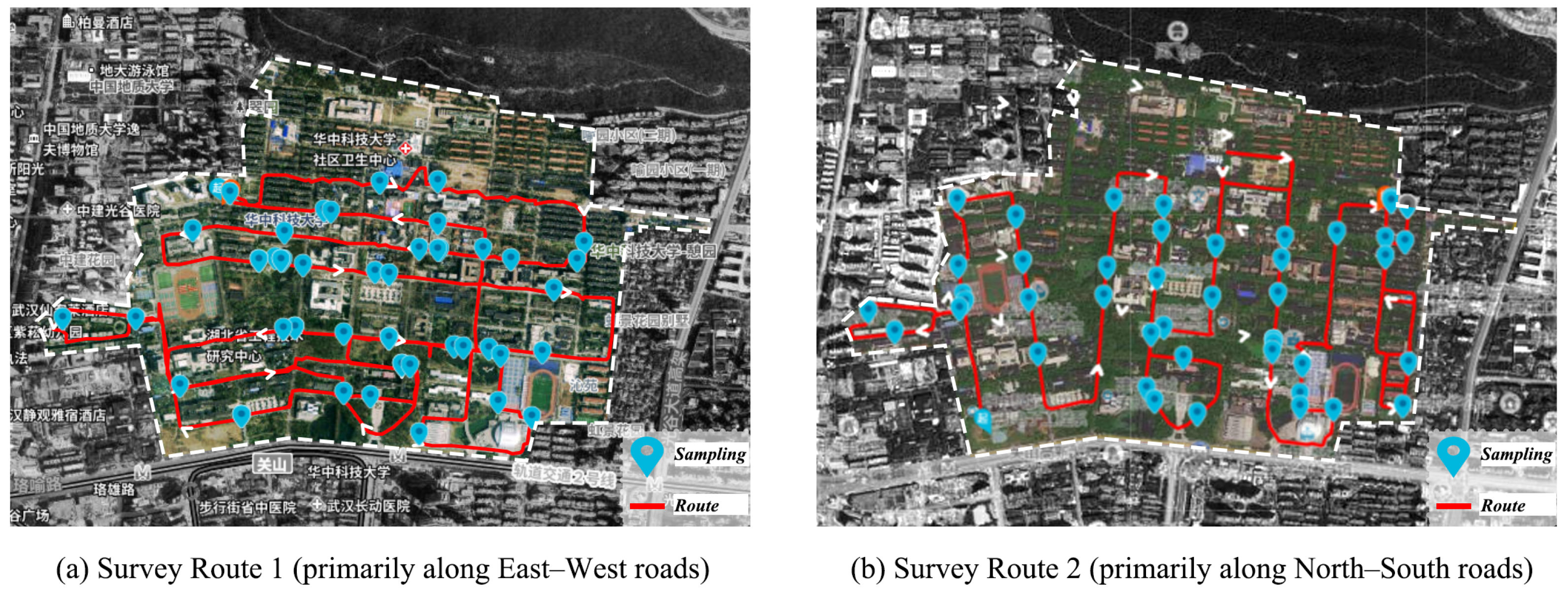 Forests 16 01668 g003