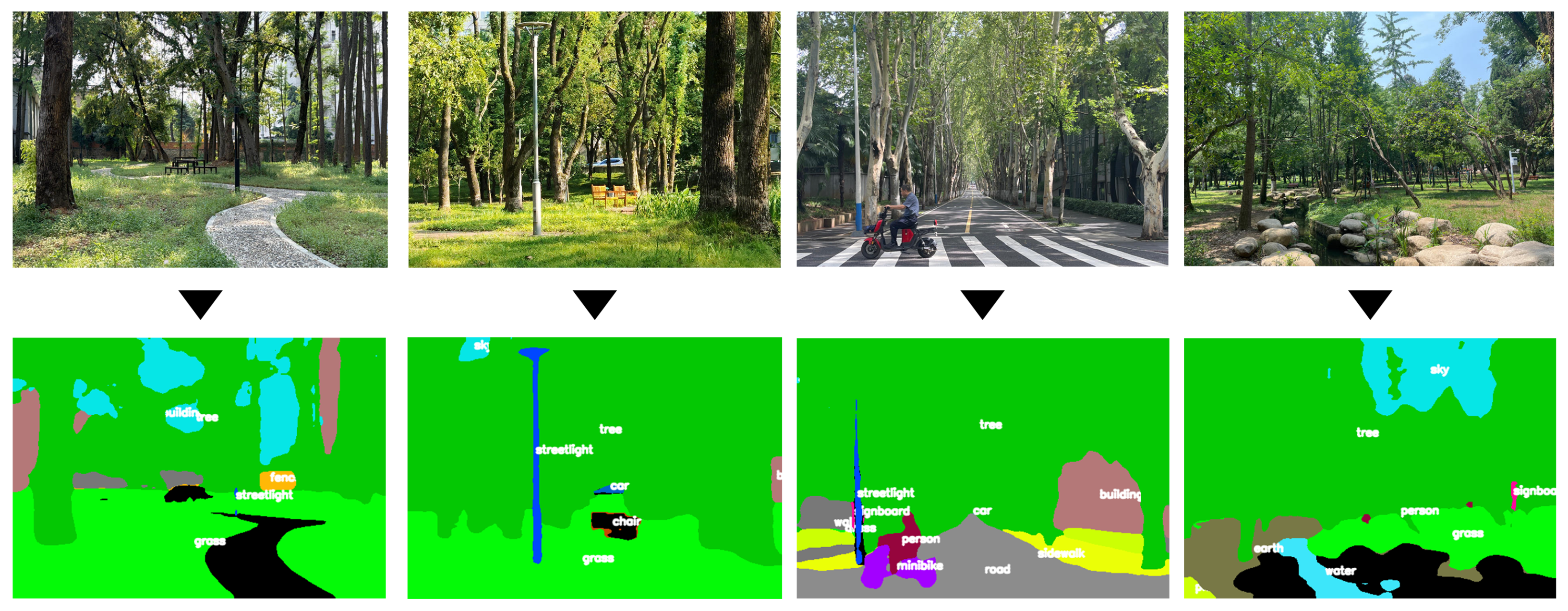 Forests 16 01668 g004