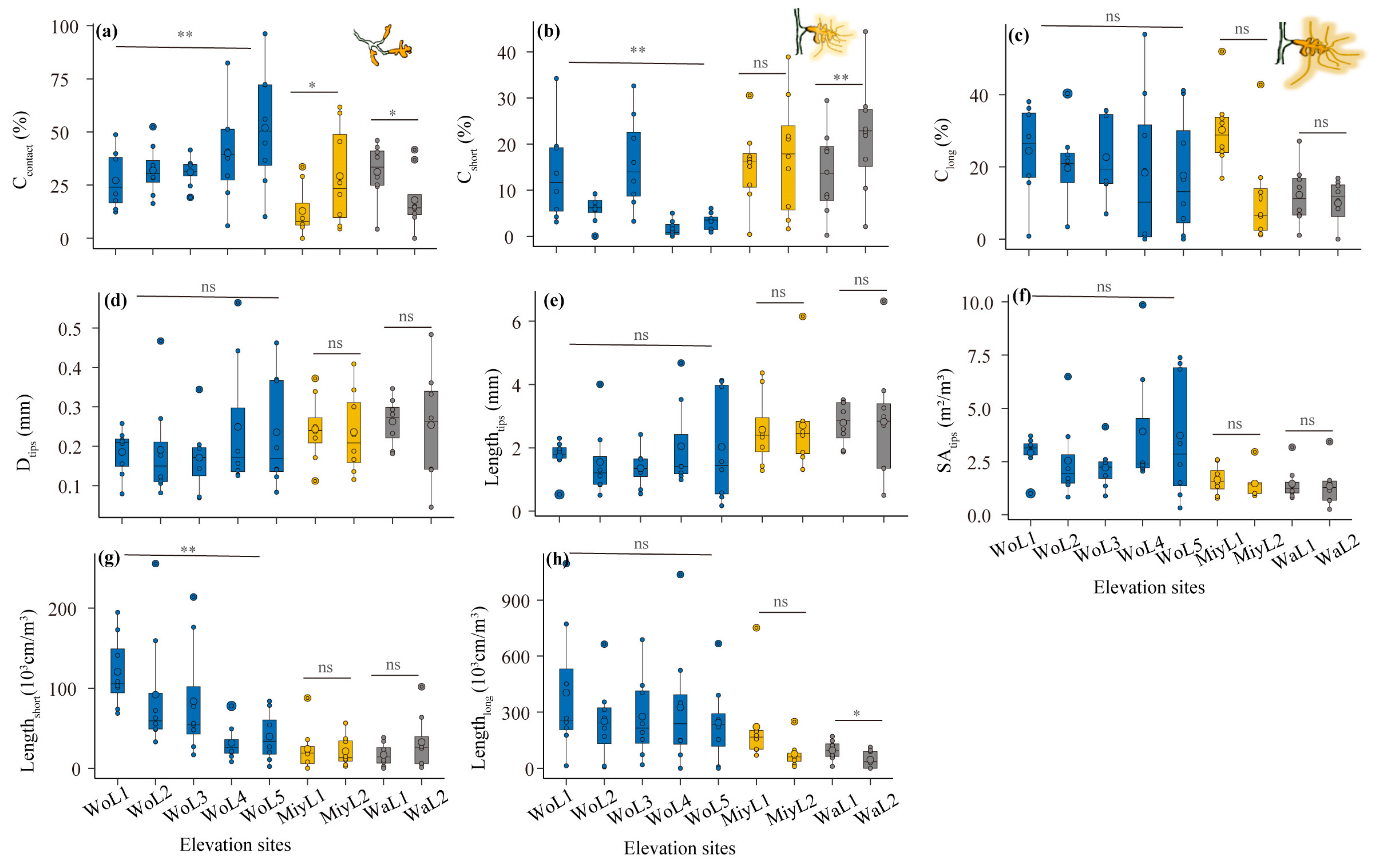 Forests 16 01670 g003 Forests 16 01670 g003