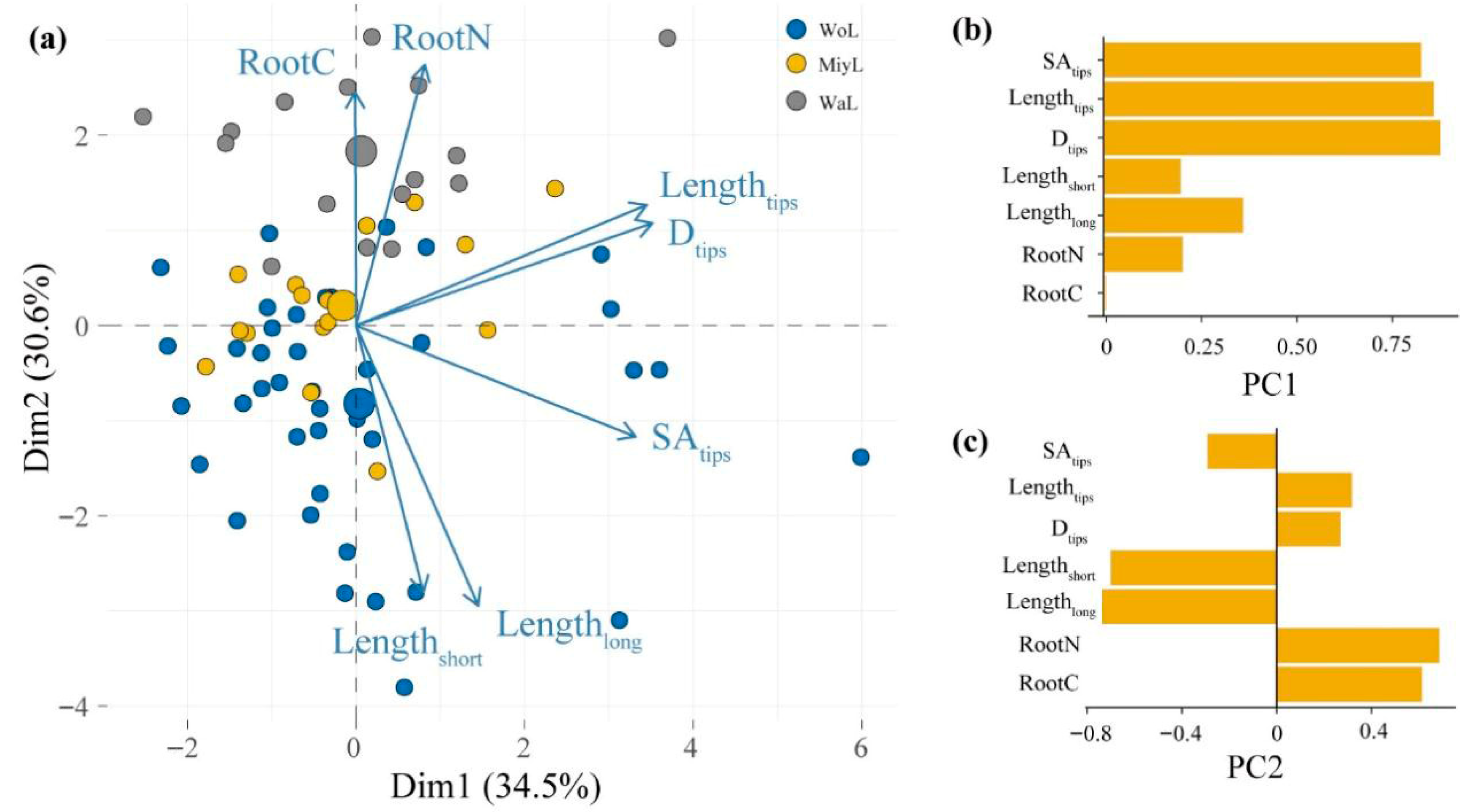 Forests 16 01670 g004 Forests 16 01670 g004