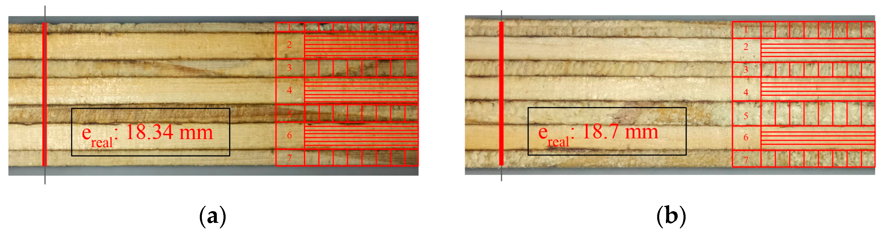 Forests 16 01676 g001 Forests 16 01676 g001