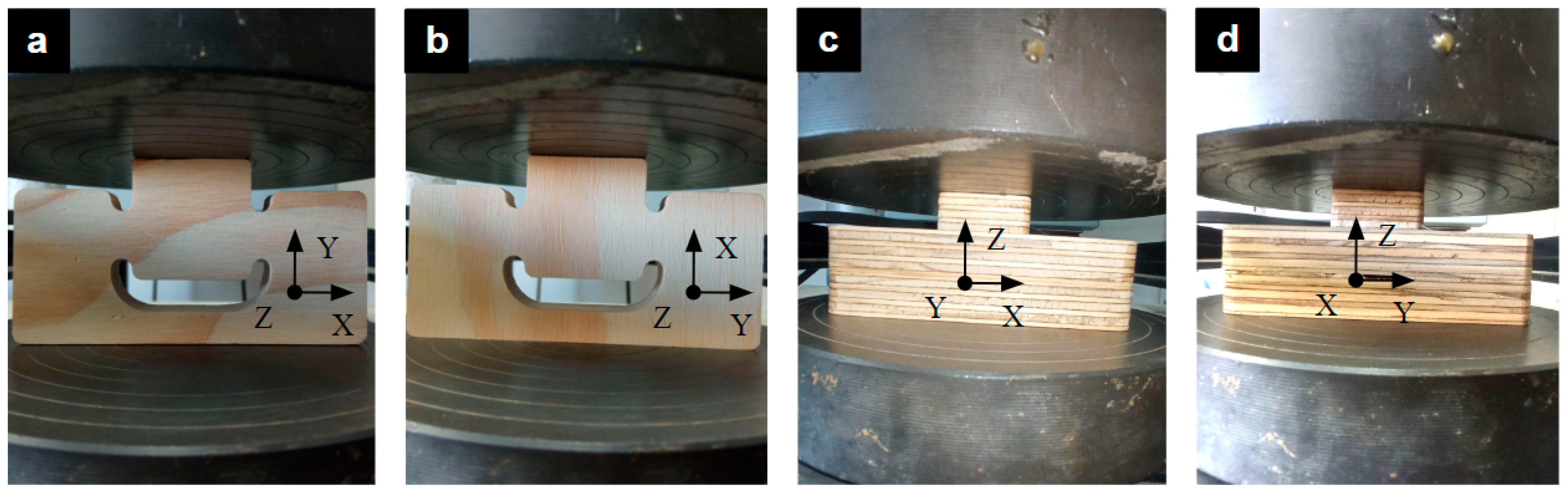 Forests 16 01676 g013 Forests 16 01676 g013