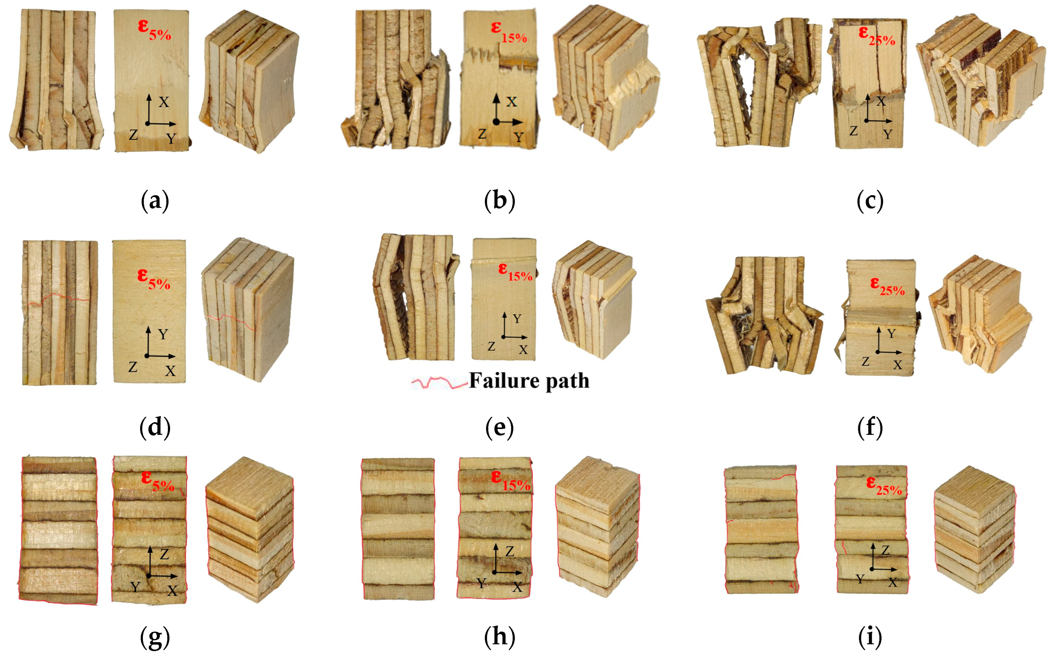 Forests 16 01676 g016 Forests 16 01676 g016