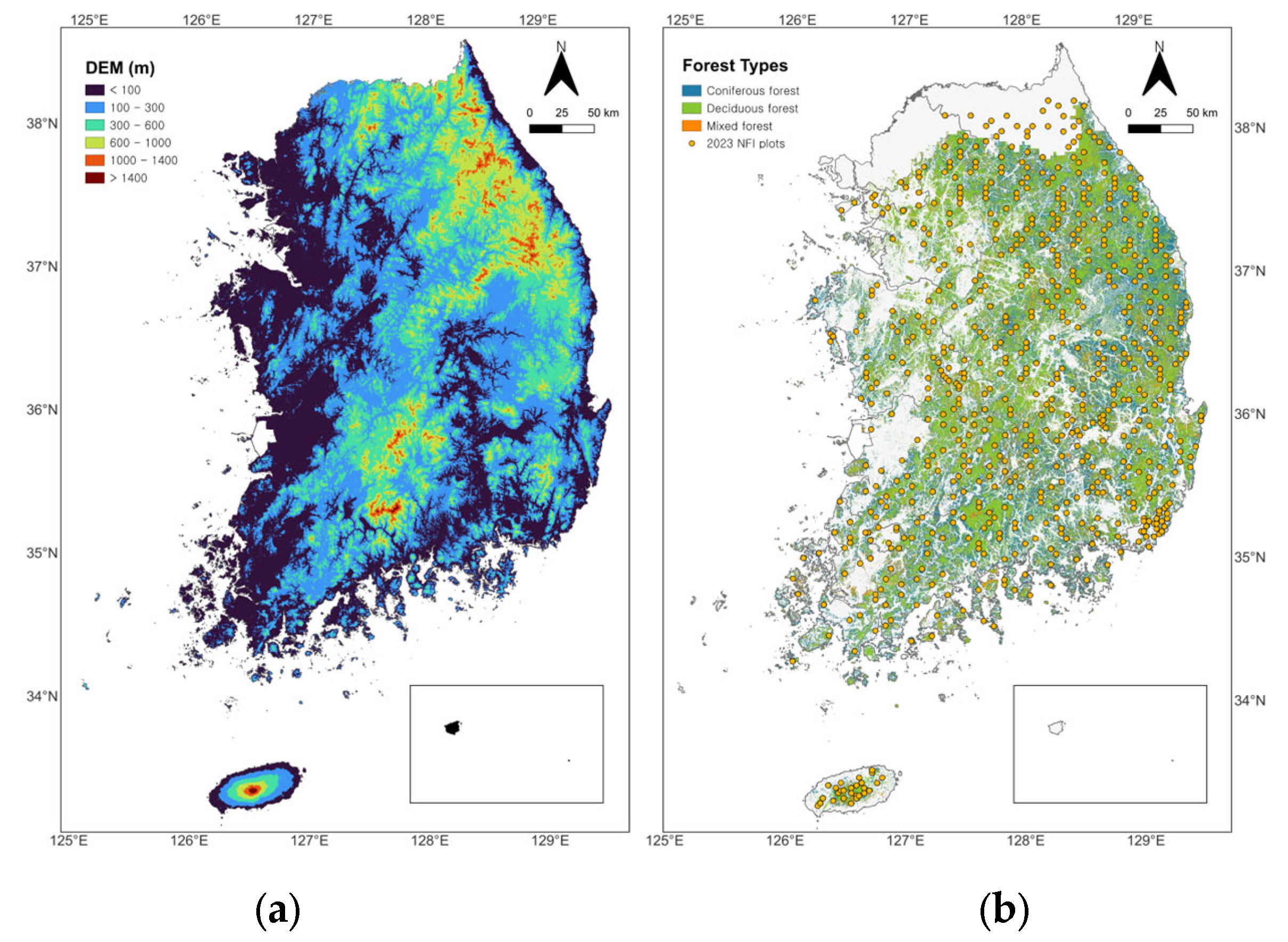 Forests 16 01680 g001