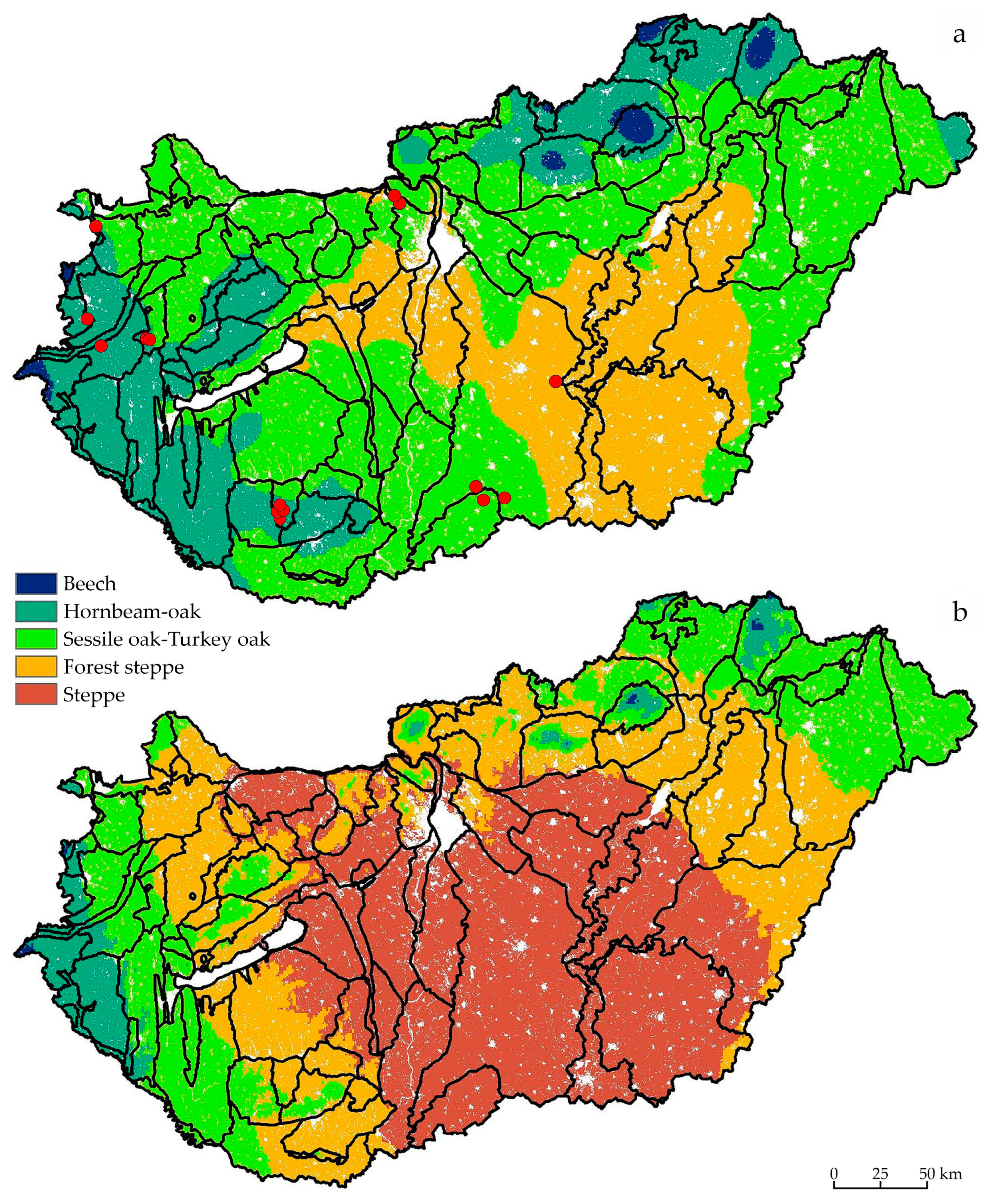 Forests 16 01681 g001 Forests 16 01681 g001