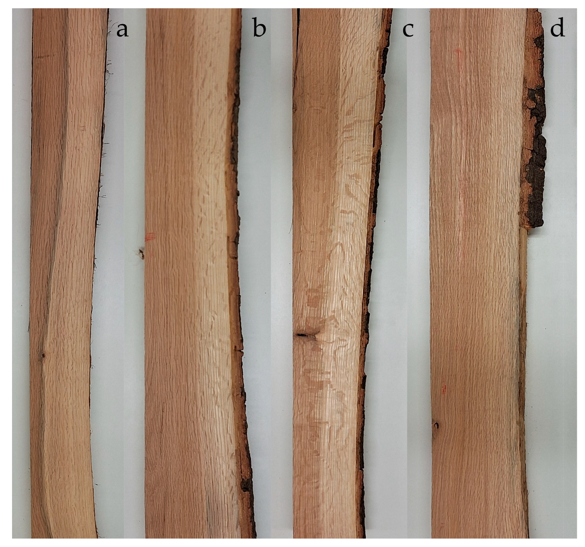 Forests 16 01681 g003 Forests 16 01681 g003