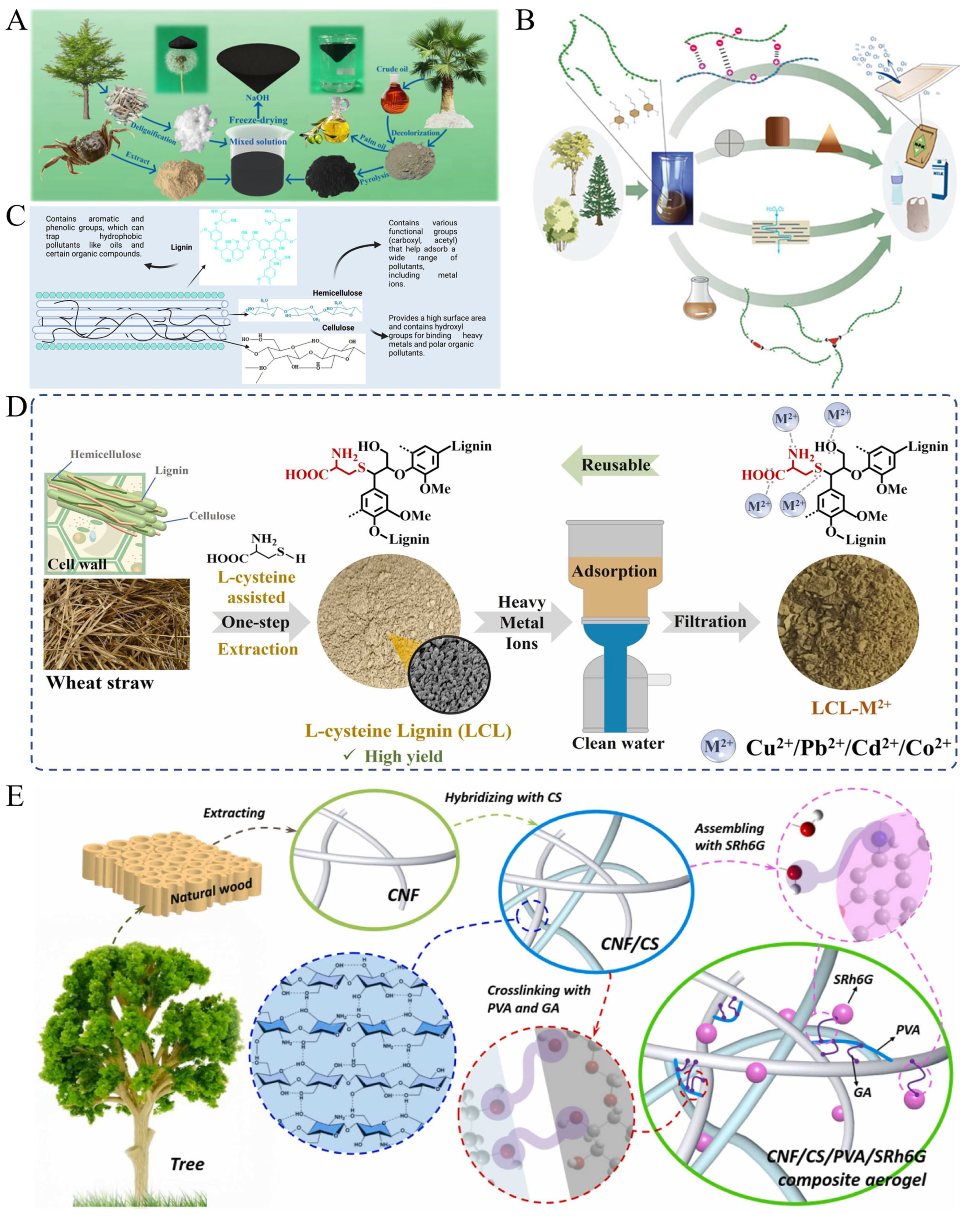 Forests 16 01684 g001 Forests 16 01684 g001