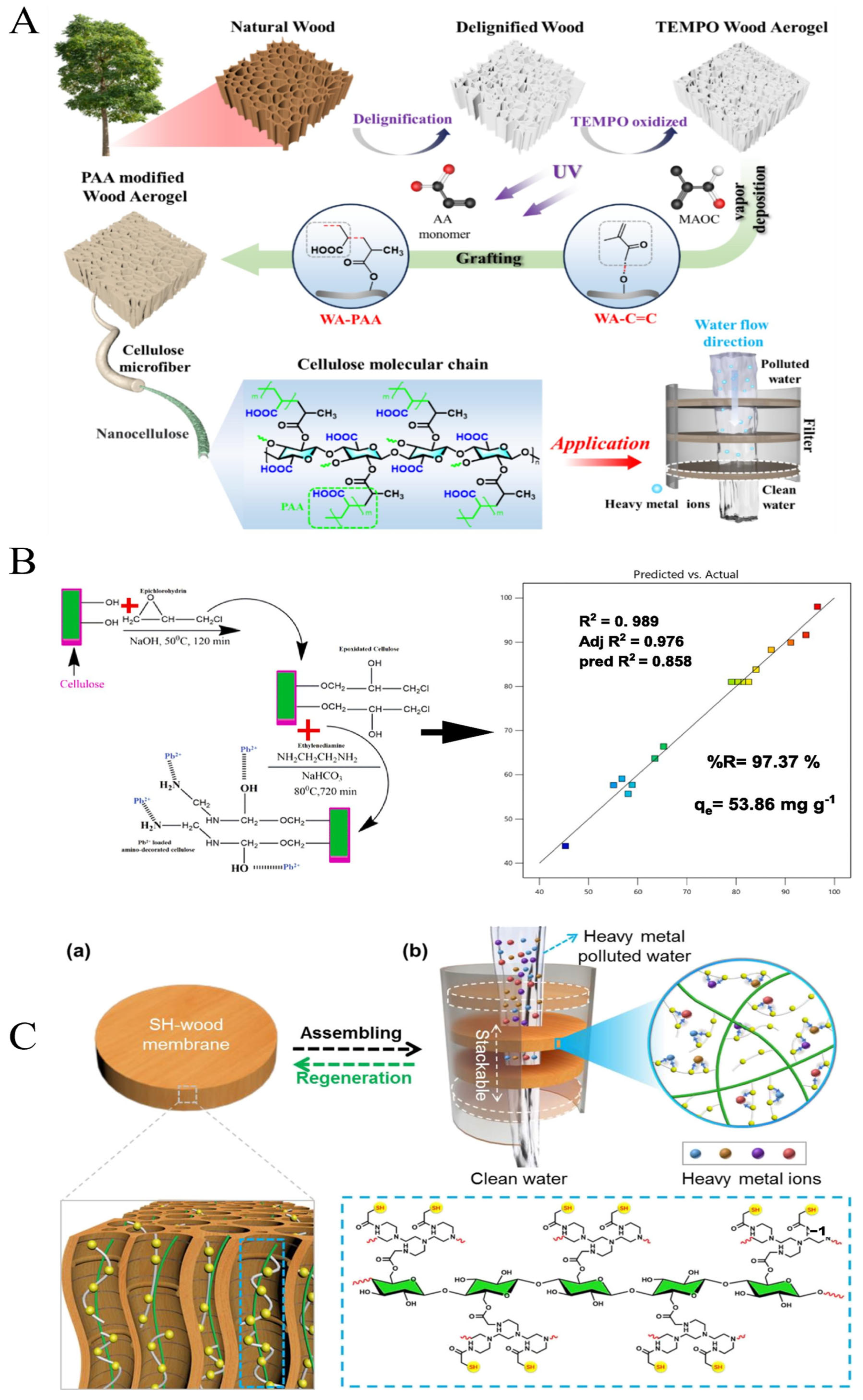 Forests 16 01684 g002 Forests 16 01684 g002