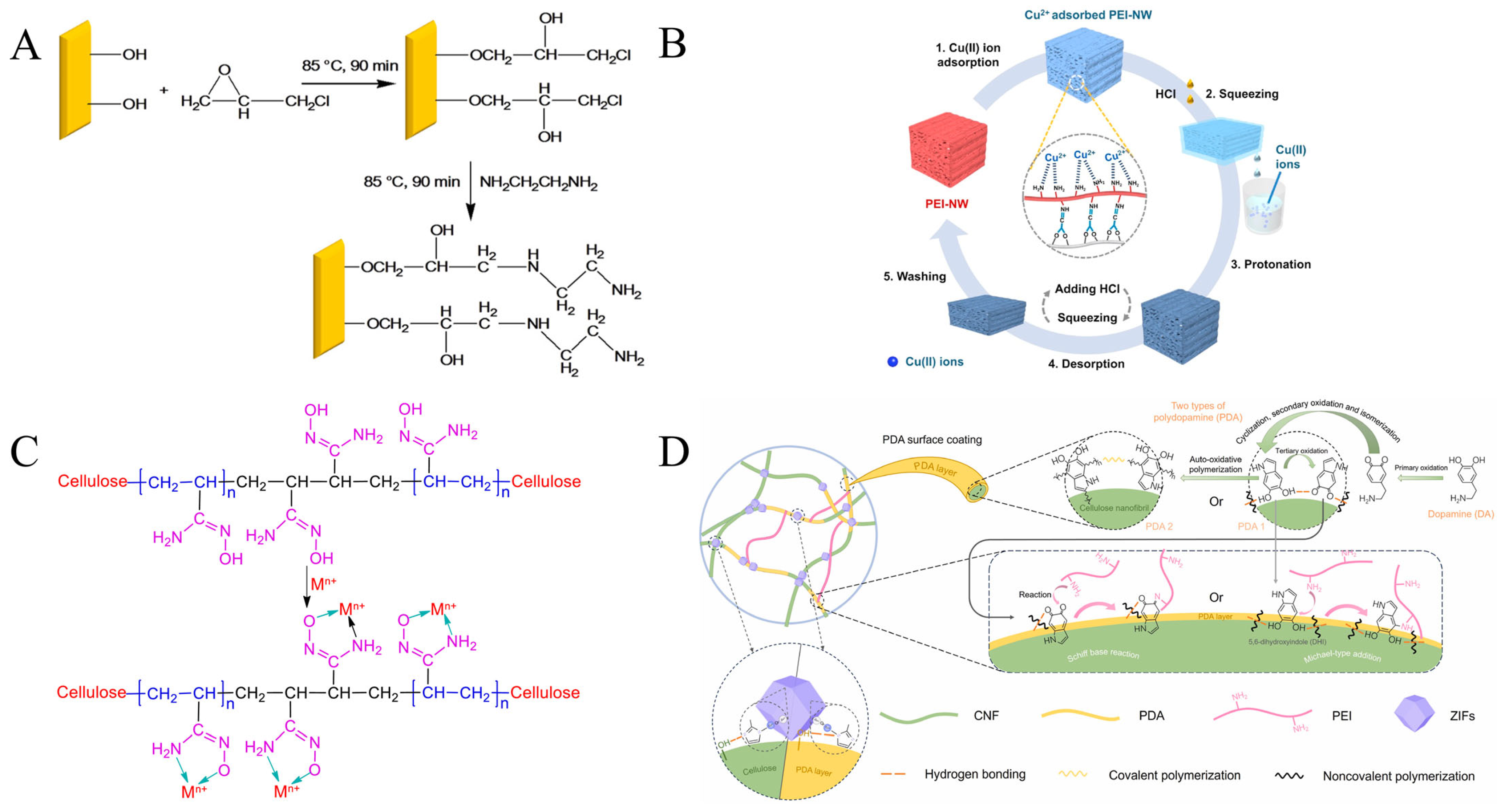 Forests 16 01684 g003 Forests 16 01684 g003