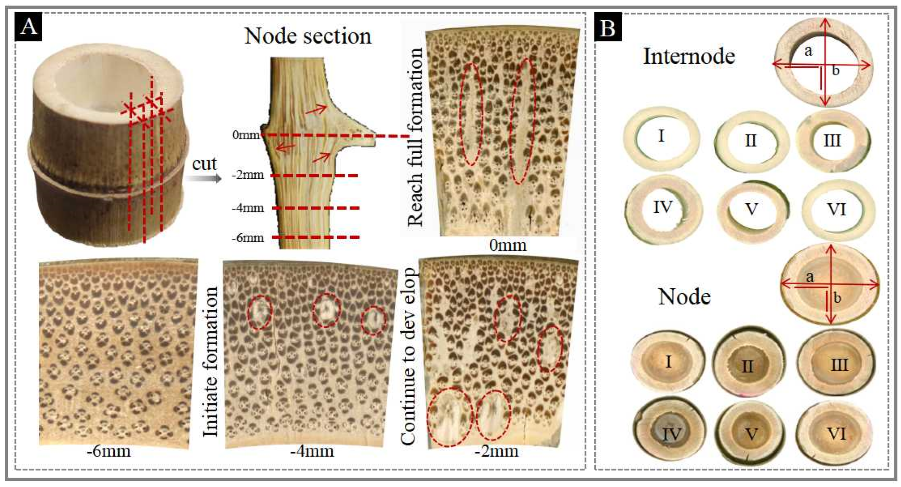 Forests 16 01685 g003 Forests 16 01685 g003