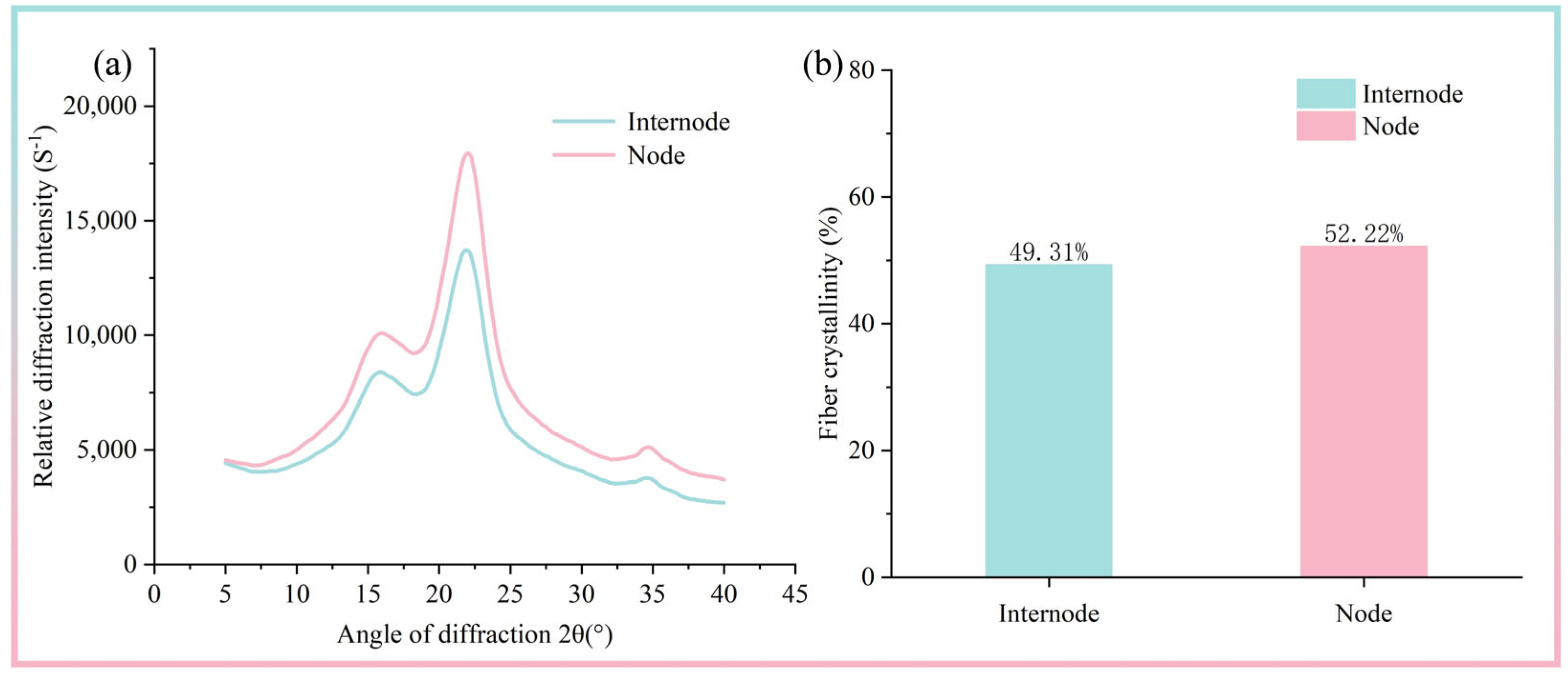 Forests 16 01685 g005 Forests 16 01685 g005
