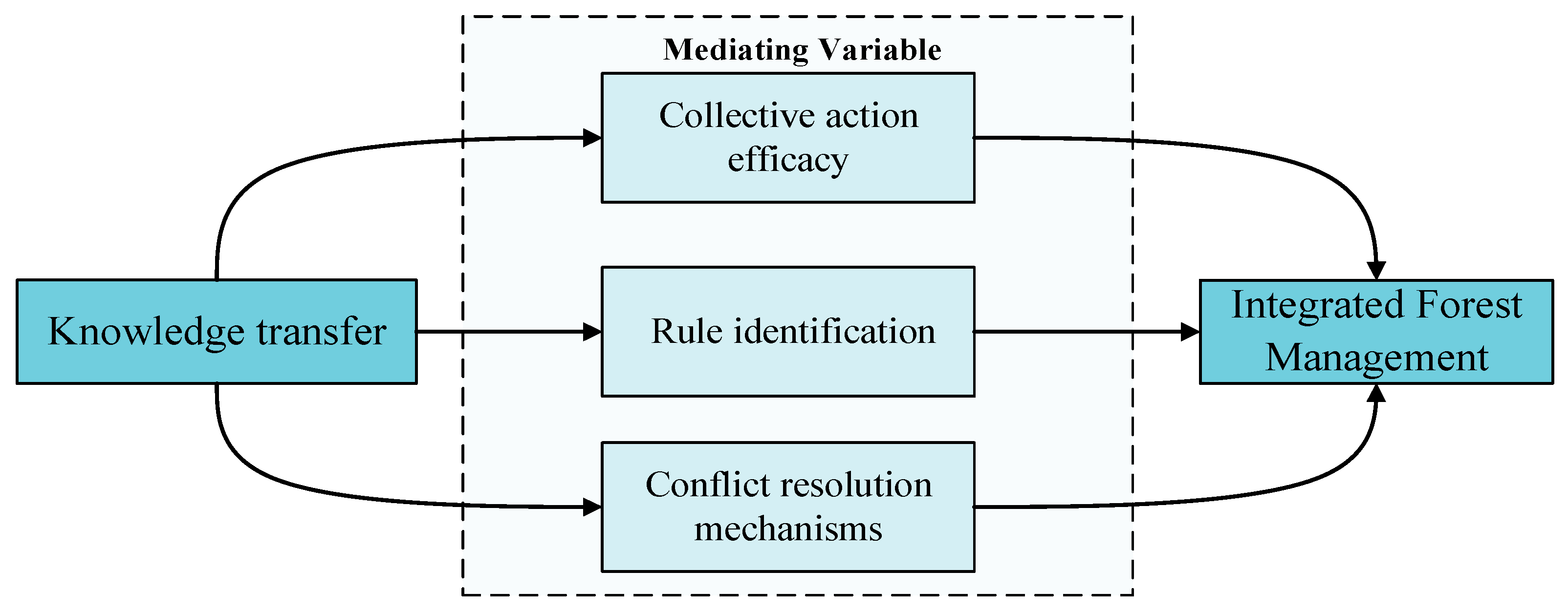 Forests 16 01689 g002