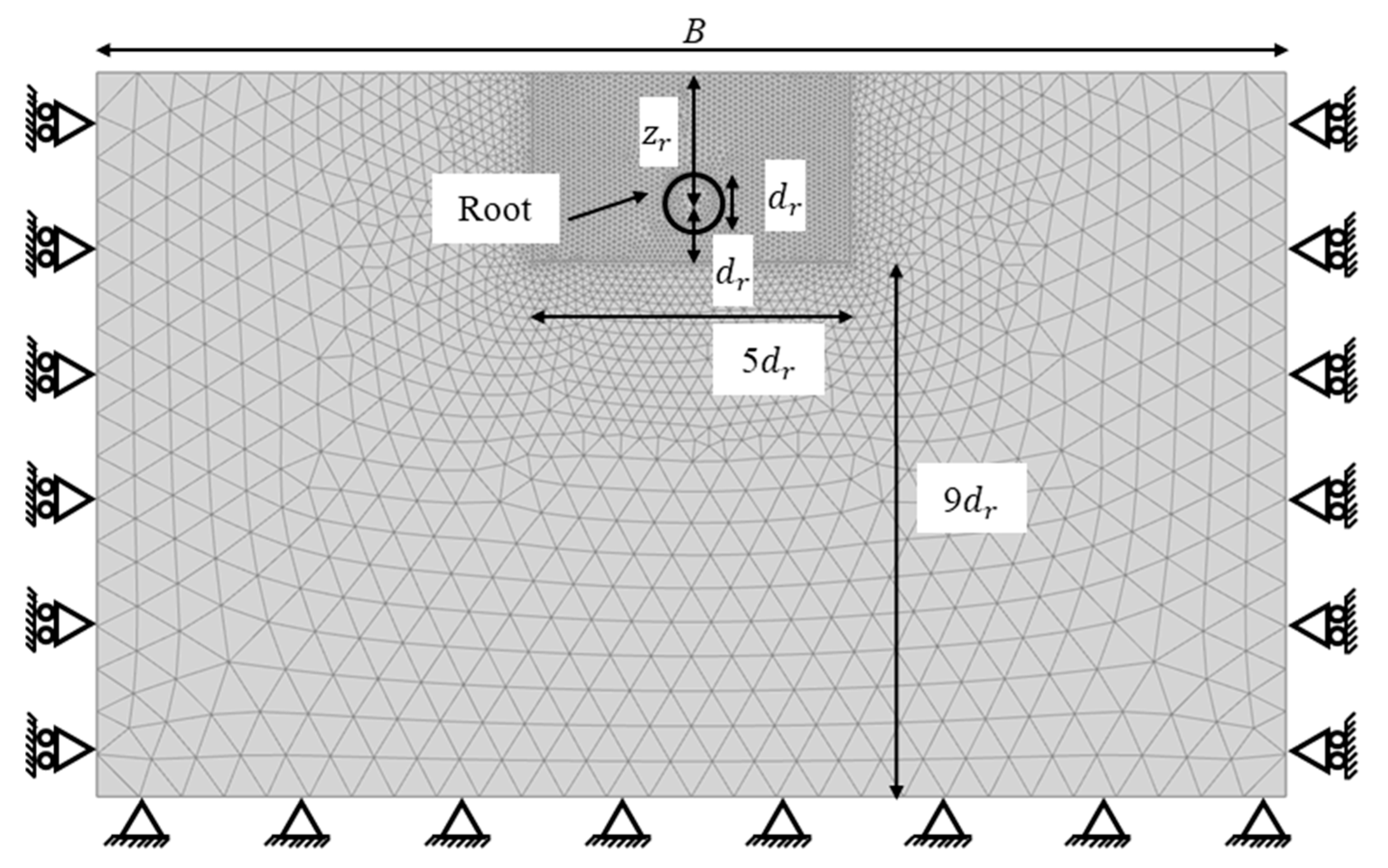 Forests 16 01692 g005 Forests 16 01692 g005