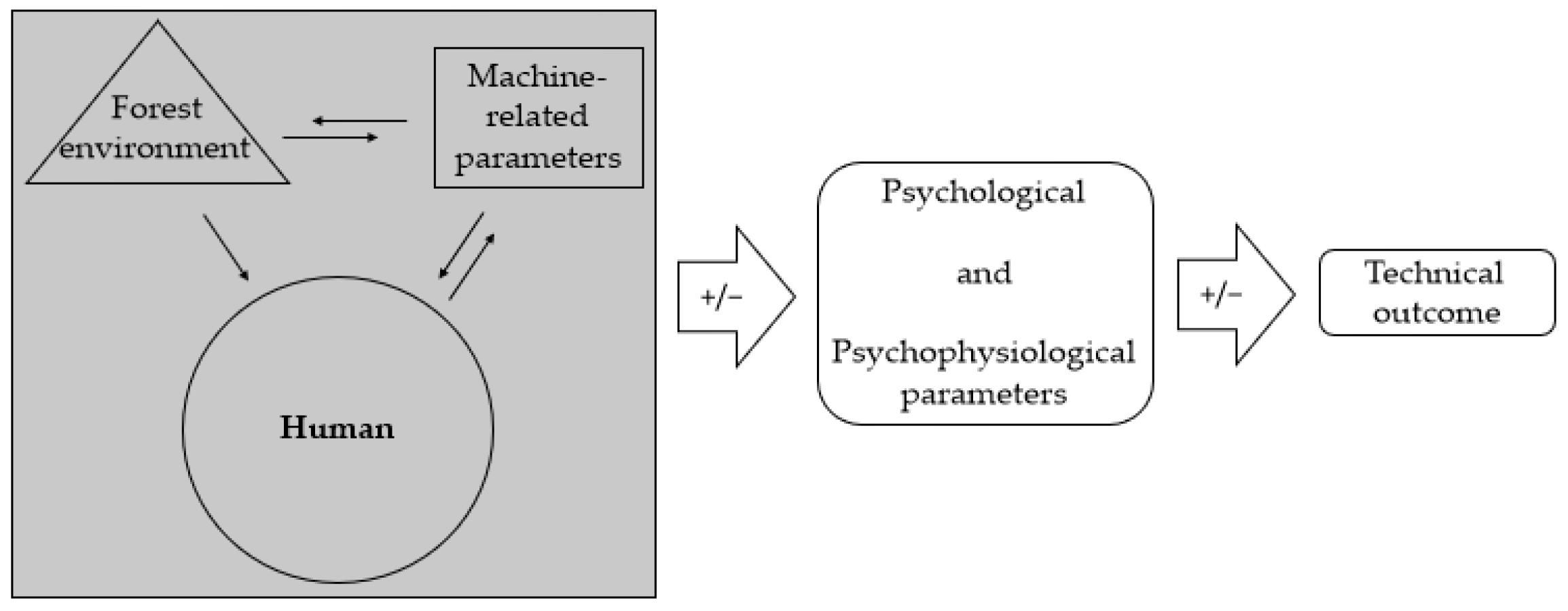Forests 16 01693 g001
