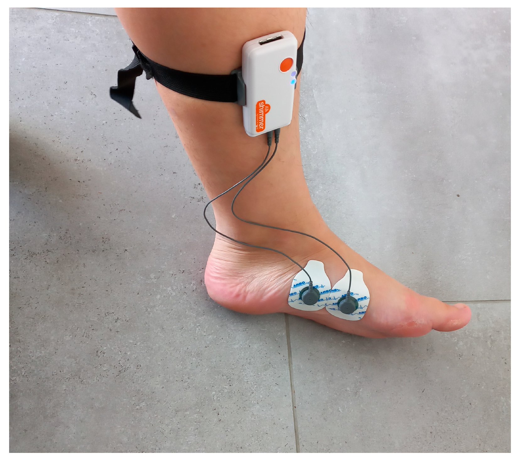 Forests 16 01693 g006