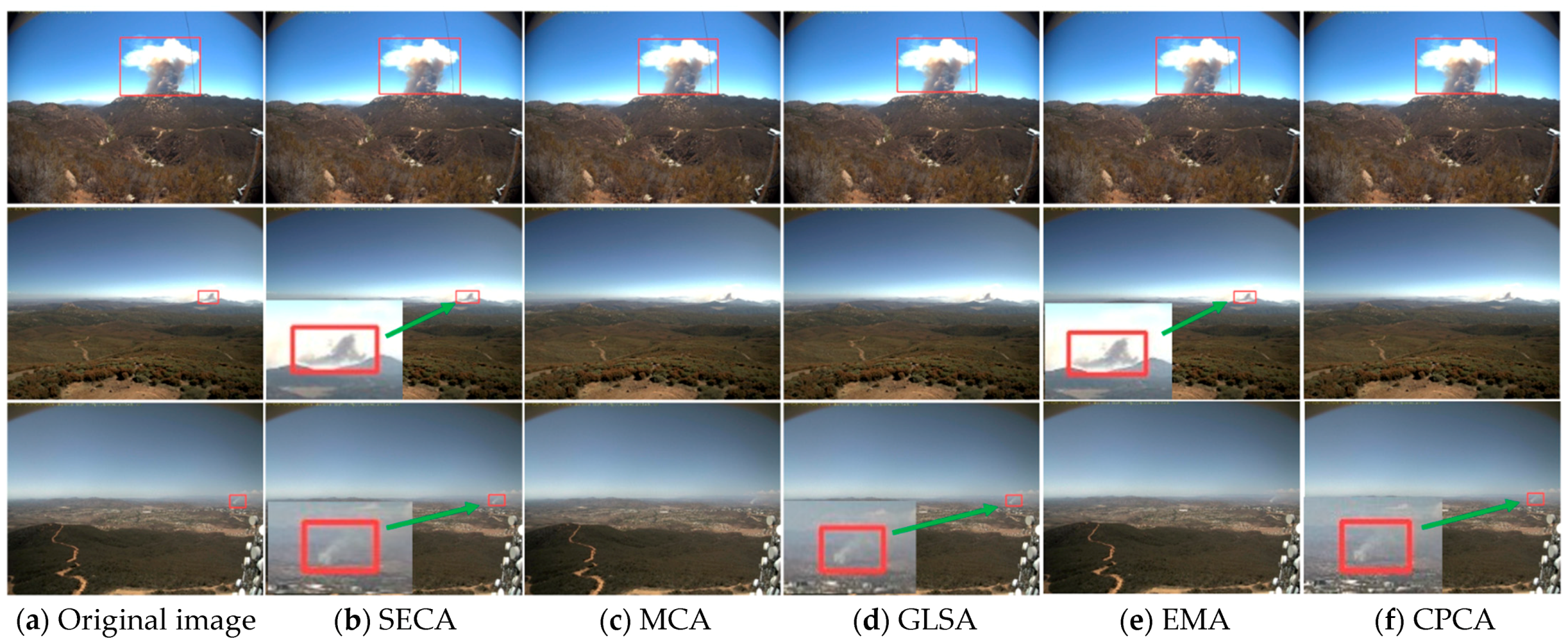 Forests 16 01694 g007