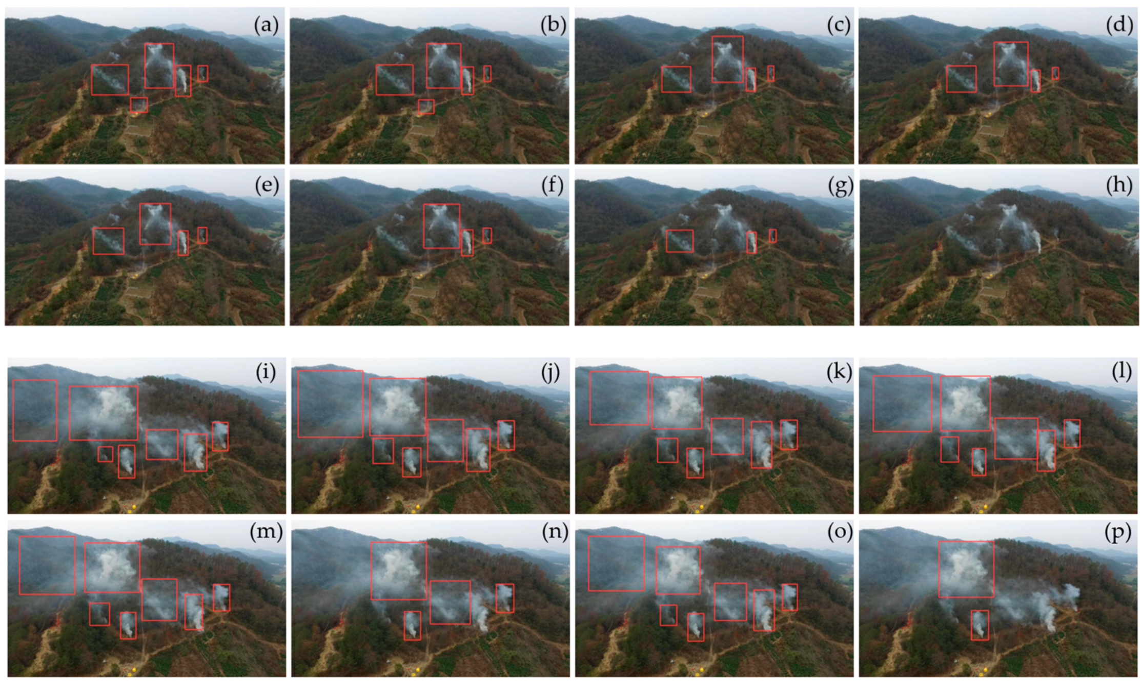 Forests 16 01694 g008