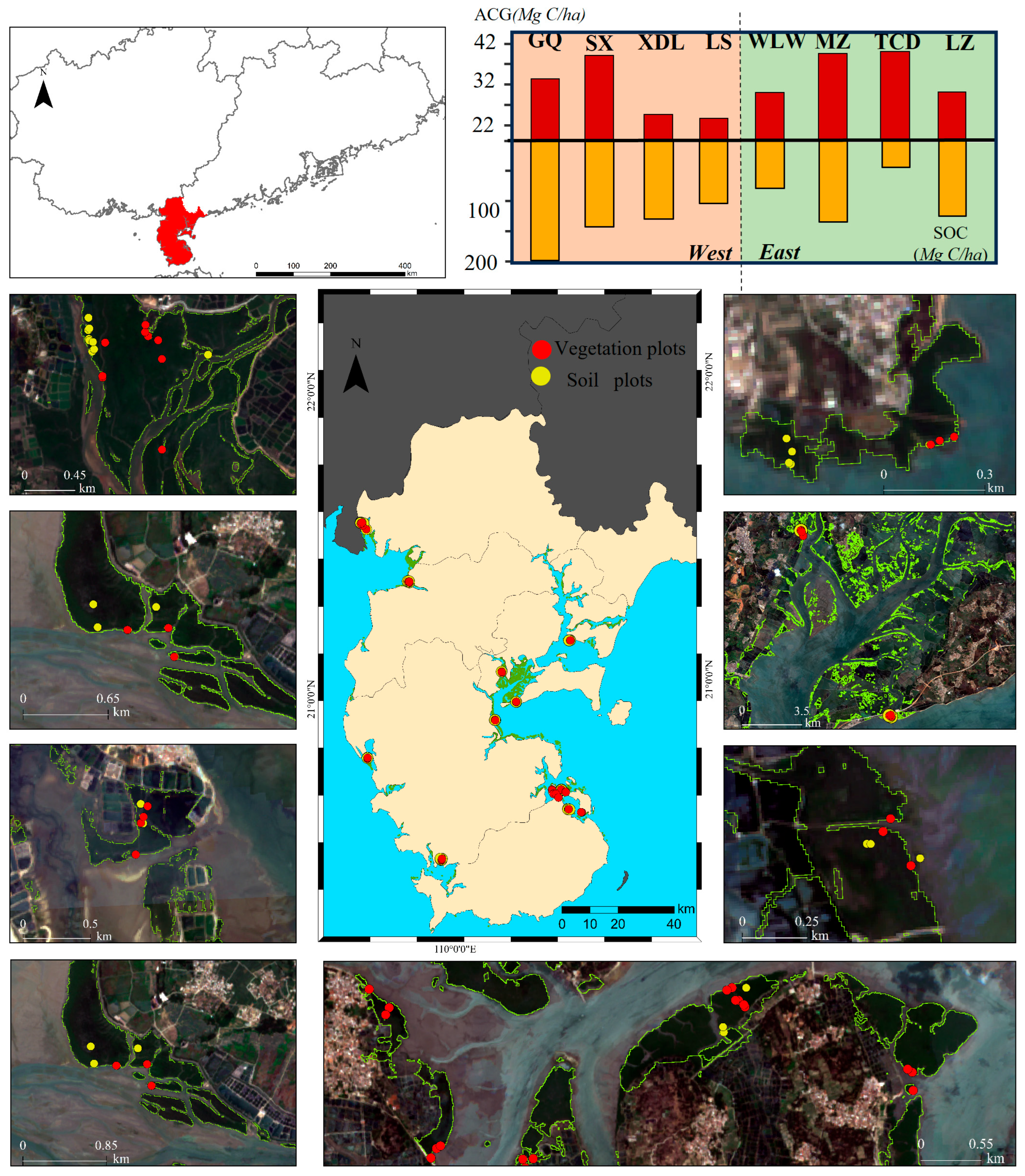 Forests 16 01696 g001 Forests 16 01696 g001