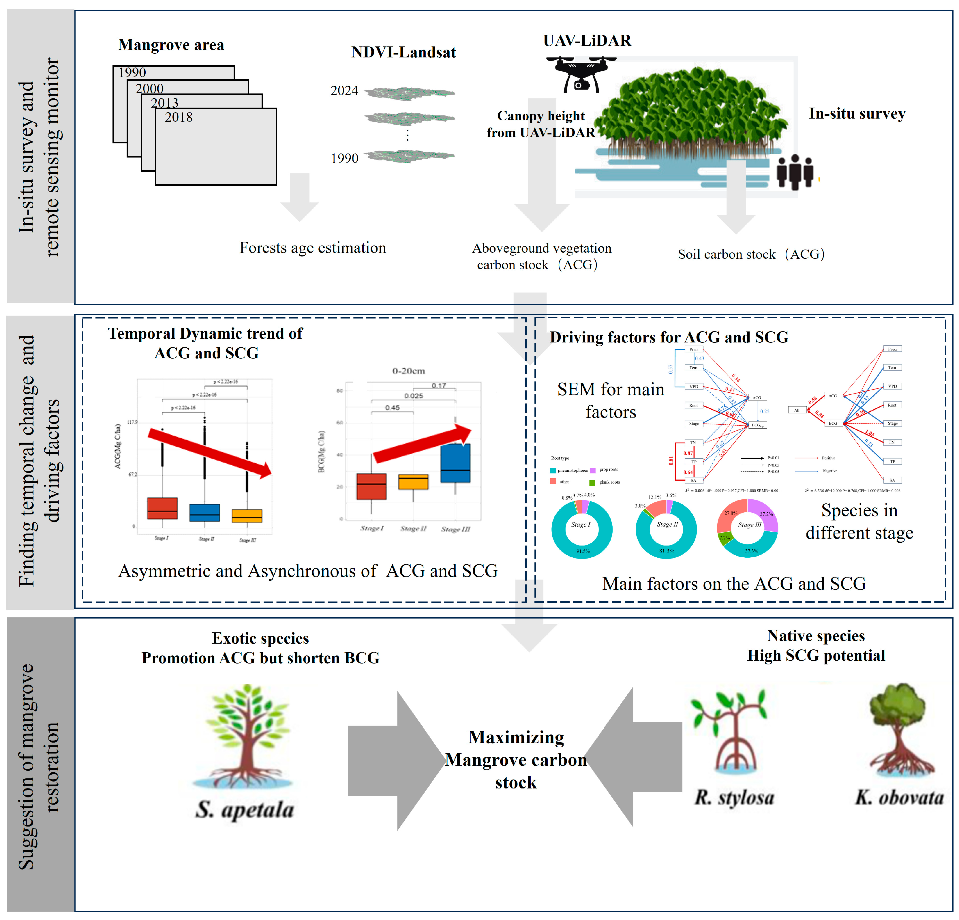 Forests 16 01696 g002 Forests 16 01696 g002