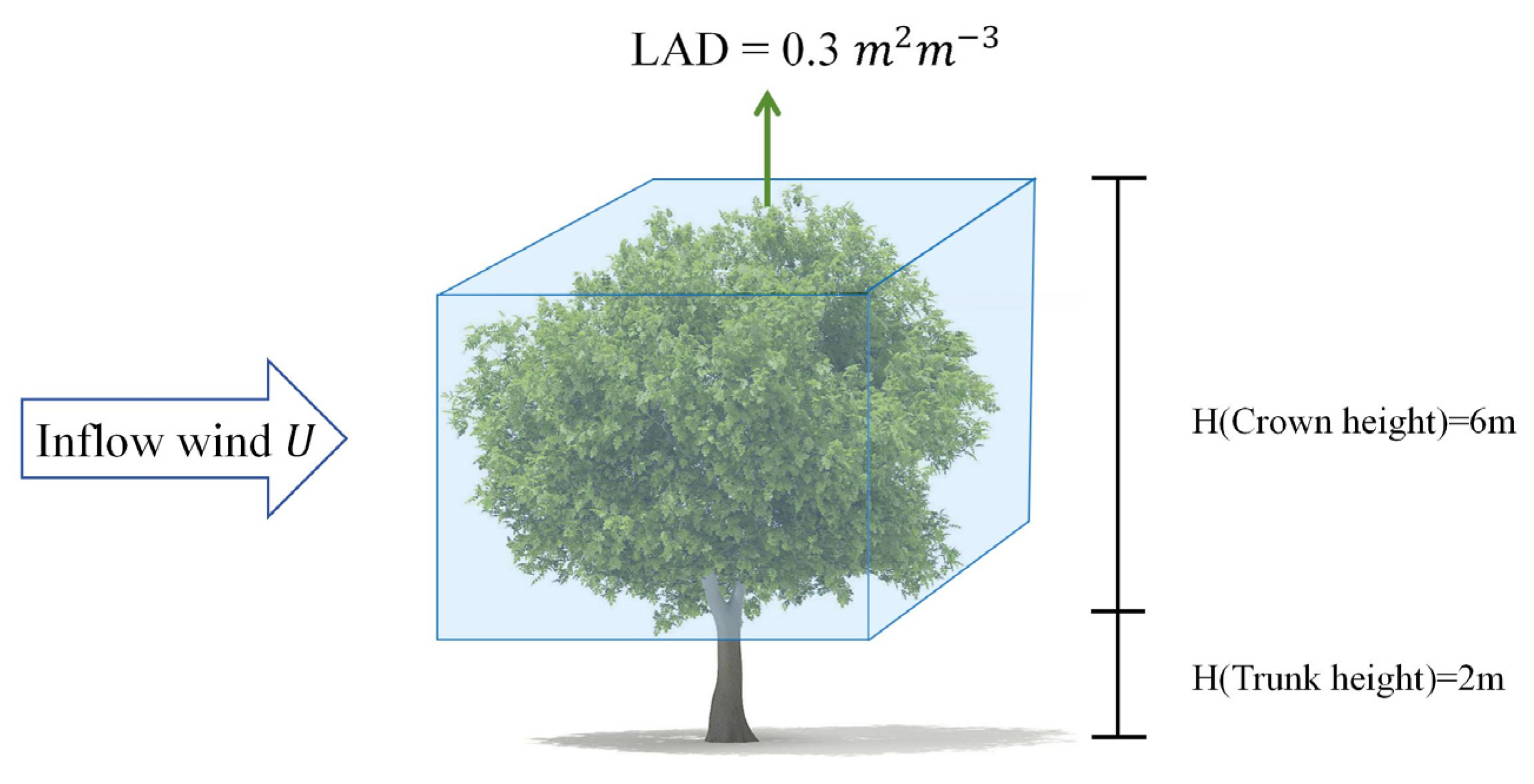 Forests 16 01698 g003