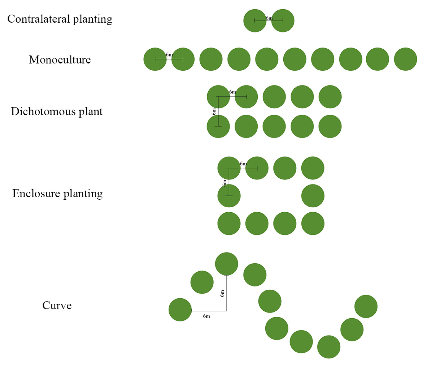 Forests 16 01698 g004