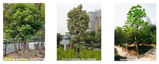 Forests 16 01698 i001