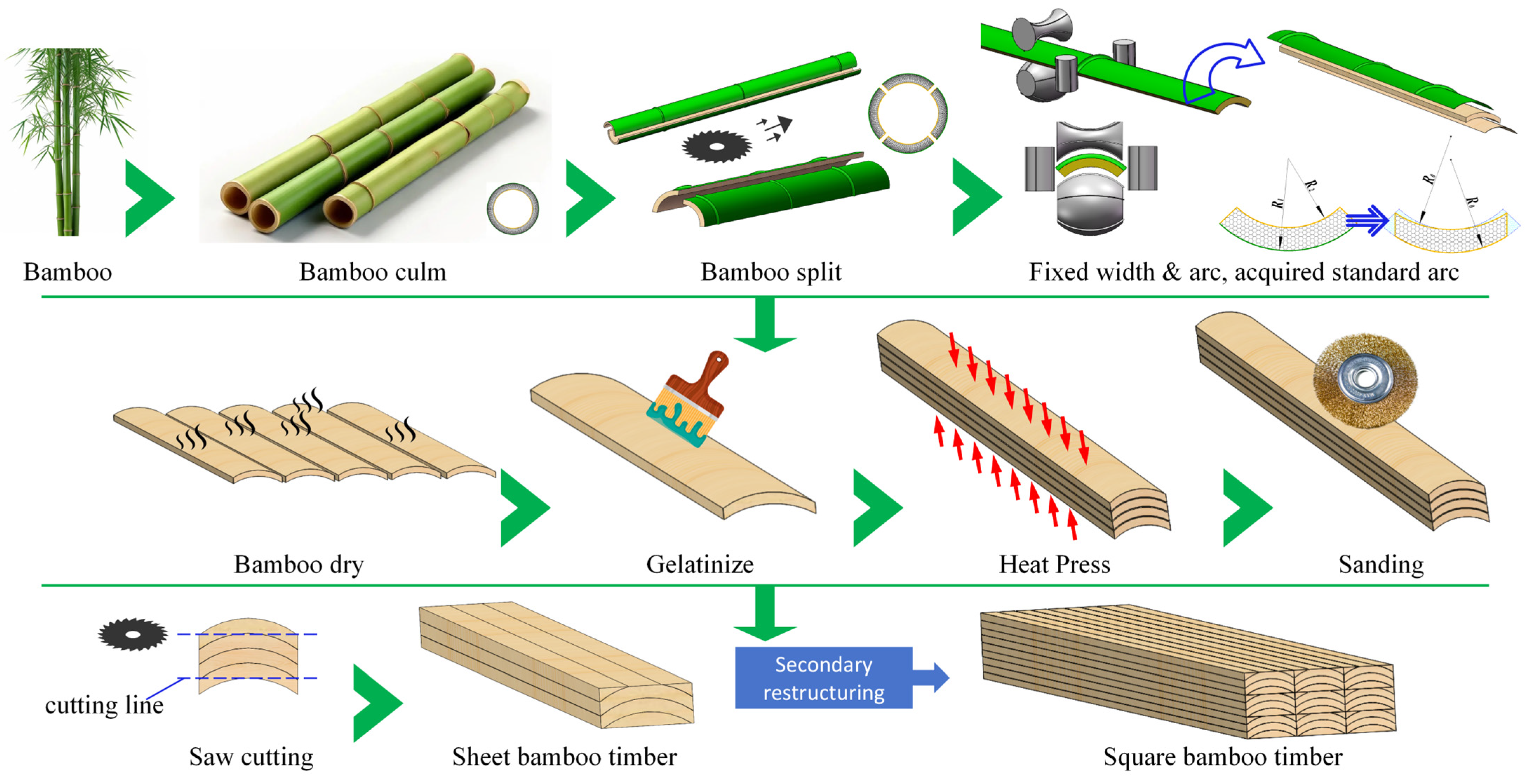Forests 16 01699 g001