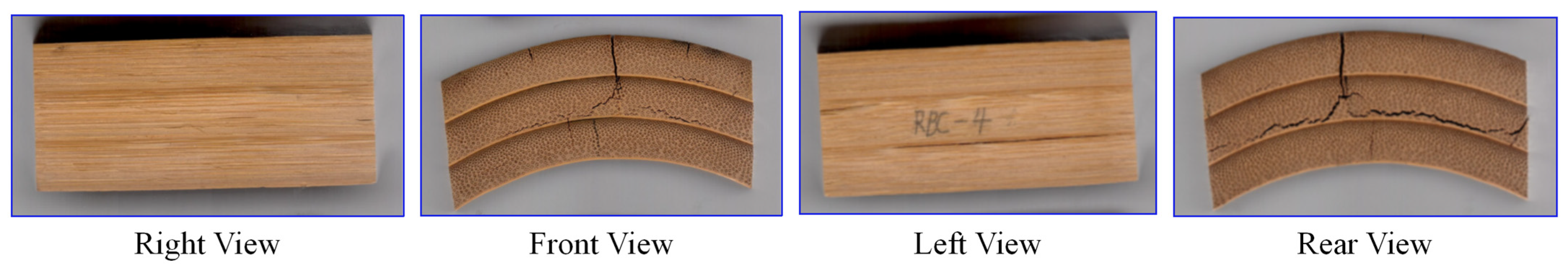 Forests 16 01699 g008