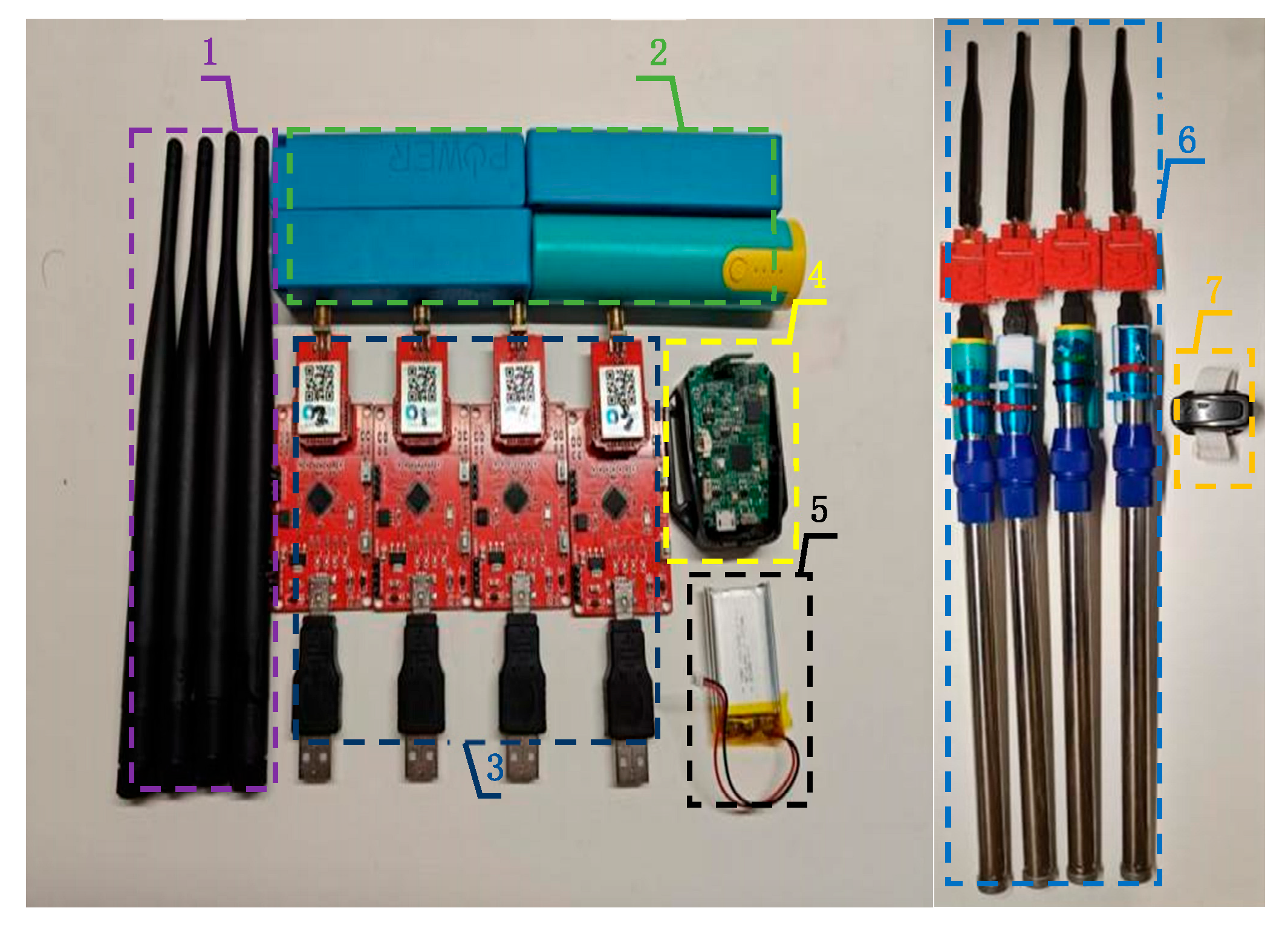 Forests 16 01703 g001