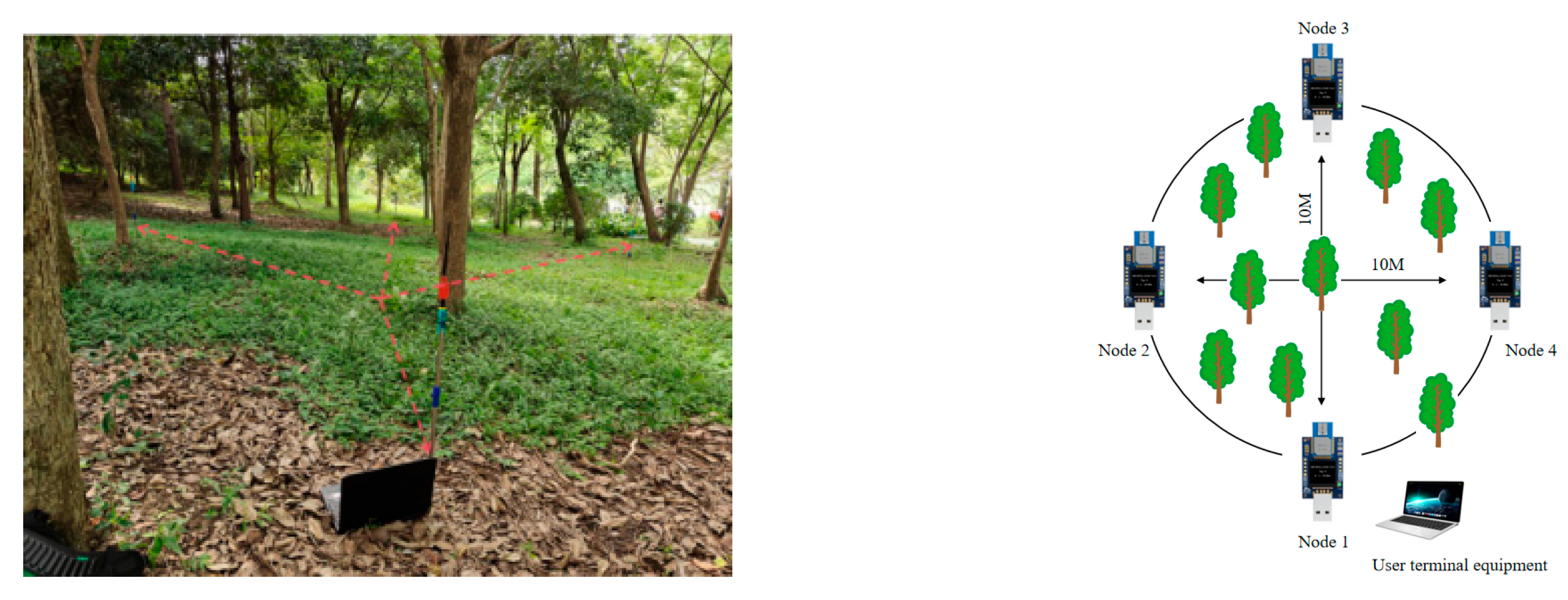 Forests 16 01703 g005