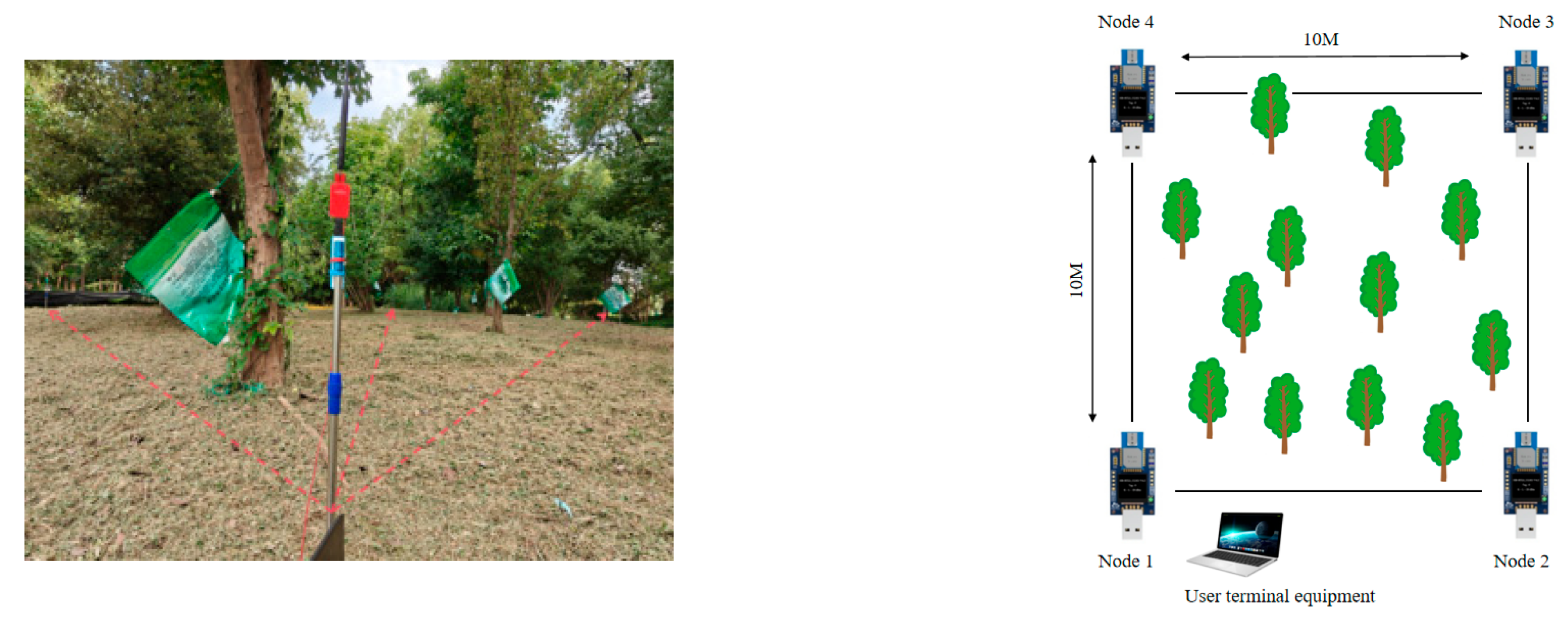 Forests 16 01703 g006