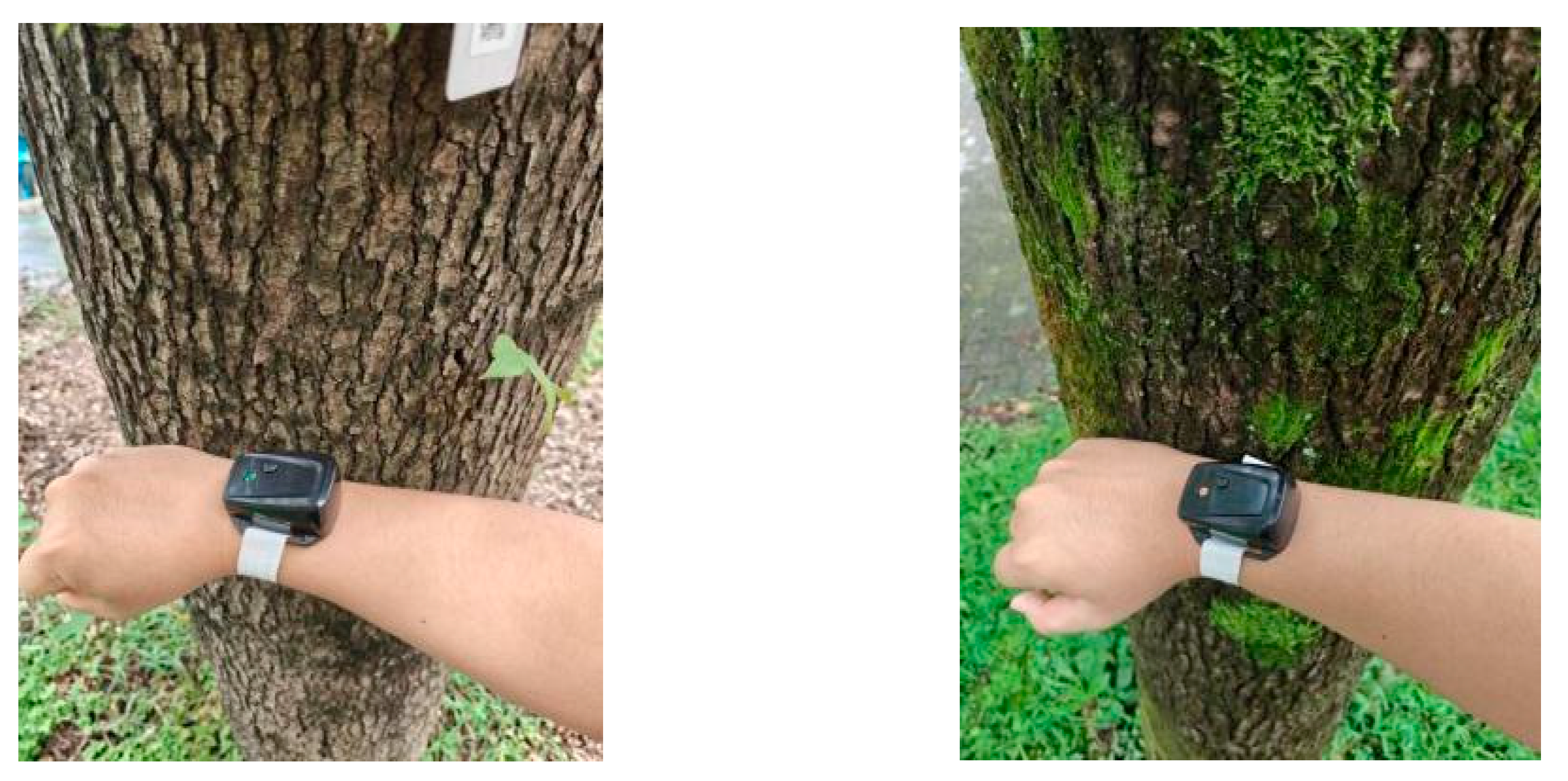 Forests 16 01703 g007