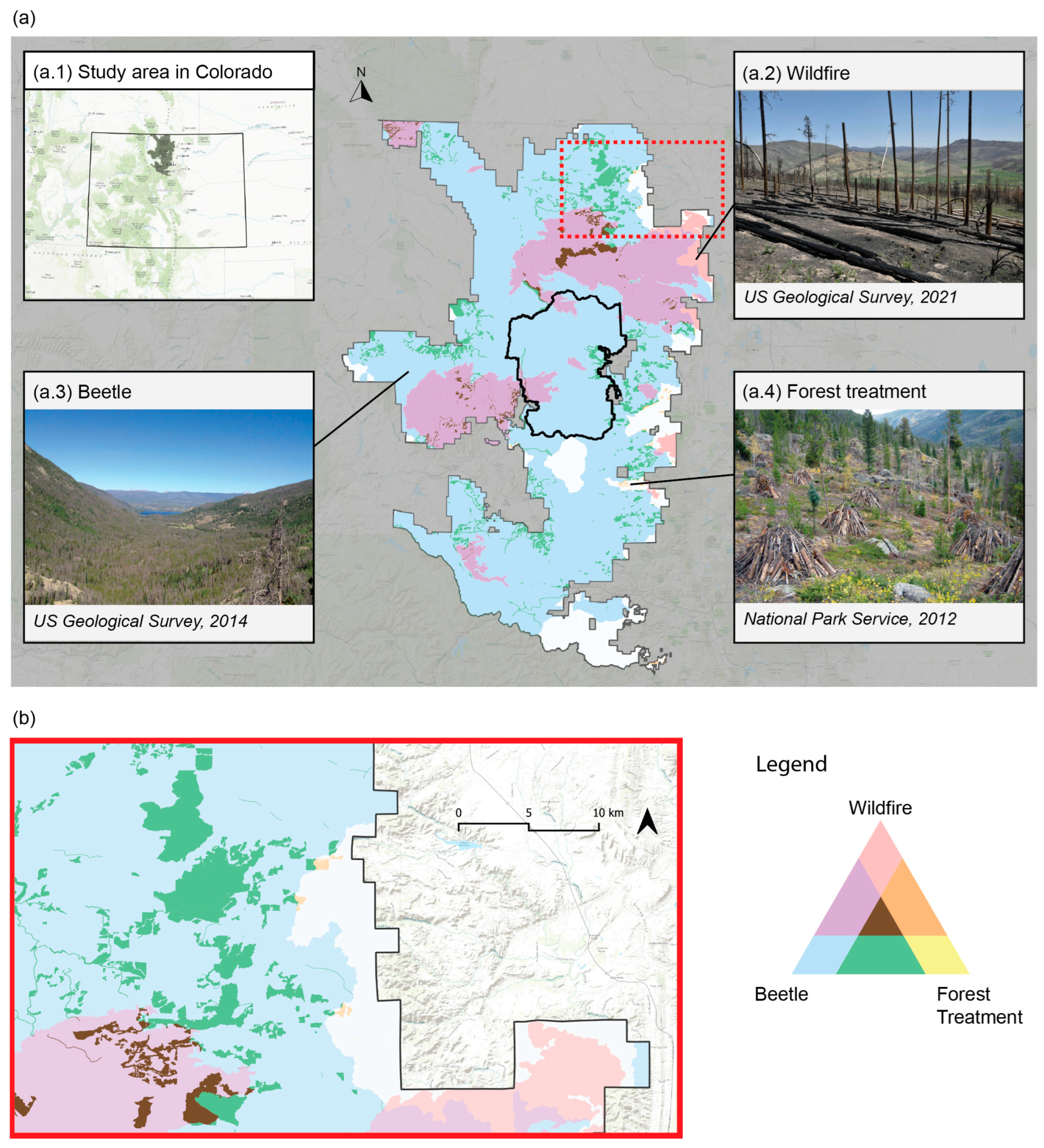 Forests 16 01706 g001 Forests 16 01706 g001