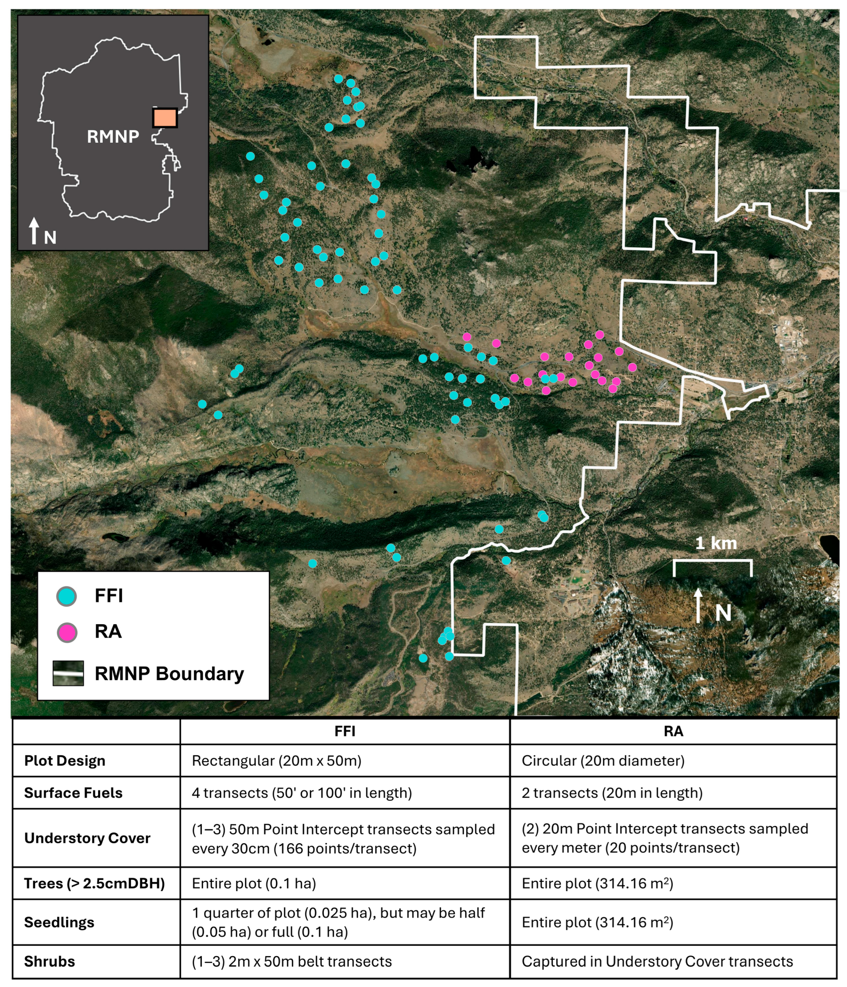 Forests 16 01706 g003 Forests 16 01706 g003