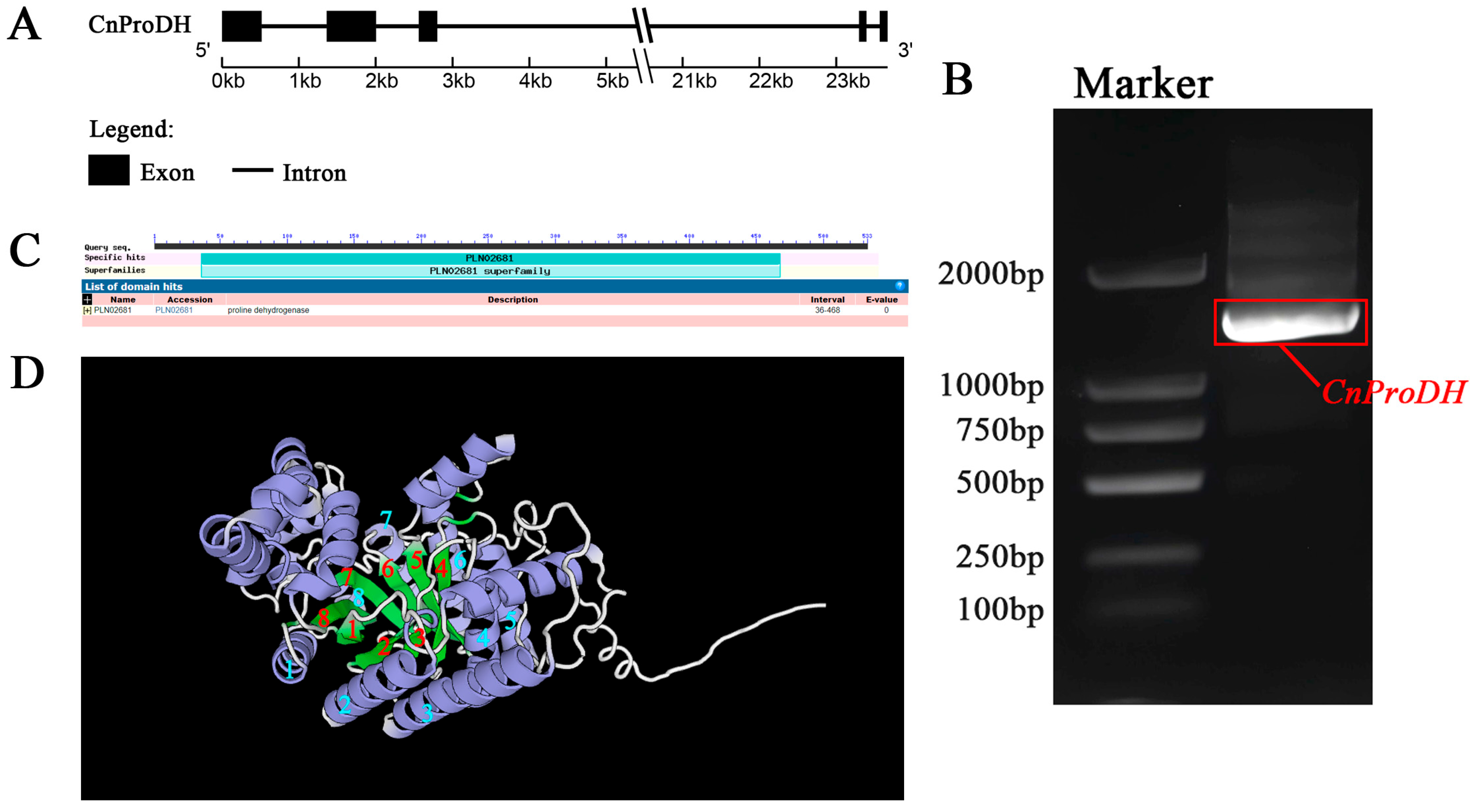 Forests 16 01707 g002 Forests 16 01707 g002