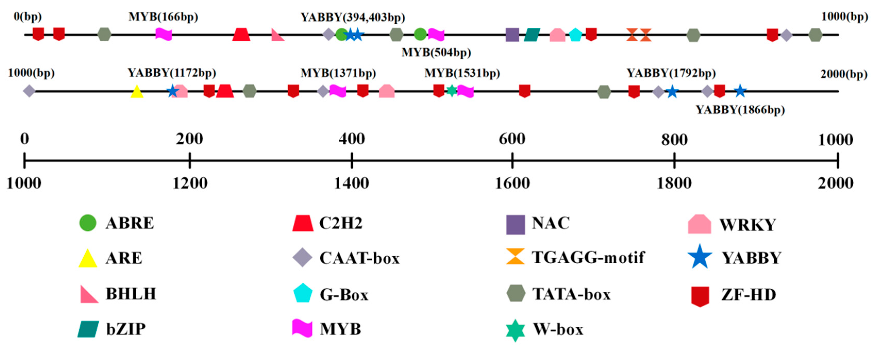 Forests 16 01707 g003 Forests 16 01707 g003