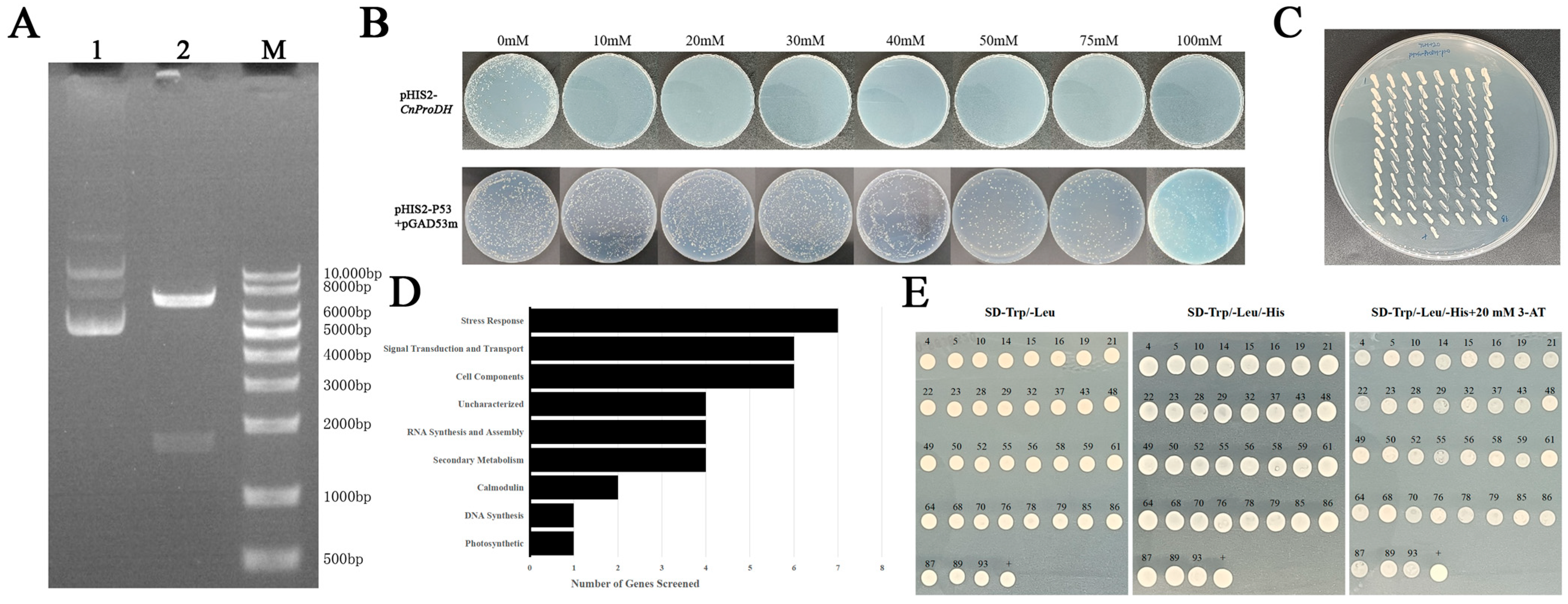 Forests 16 01707 g005 Forests 16 01707 g005