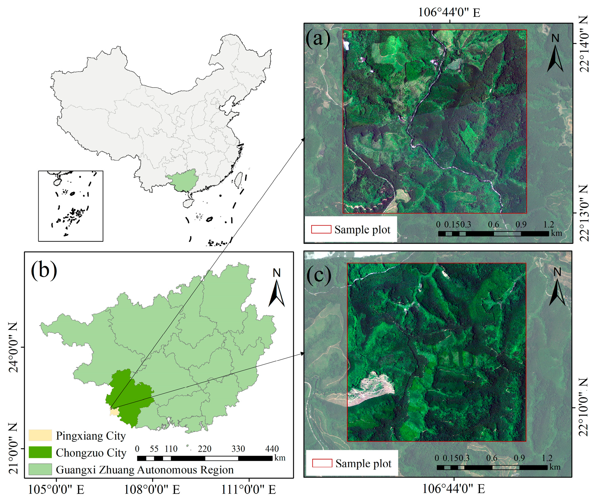 Forests 16 01709 g001