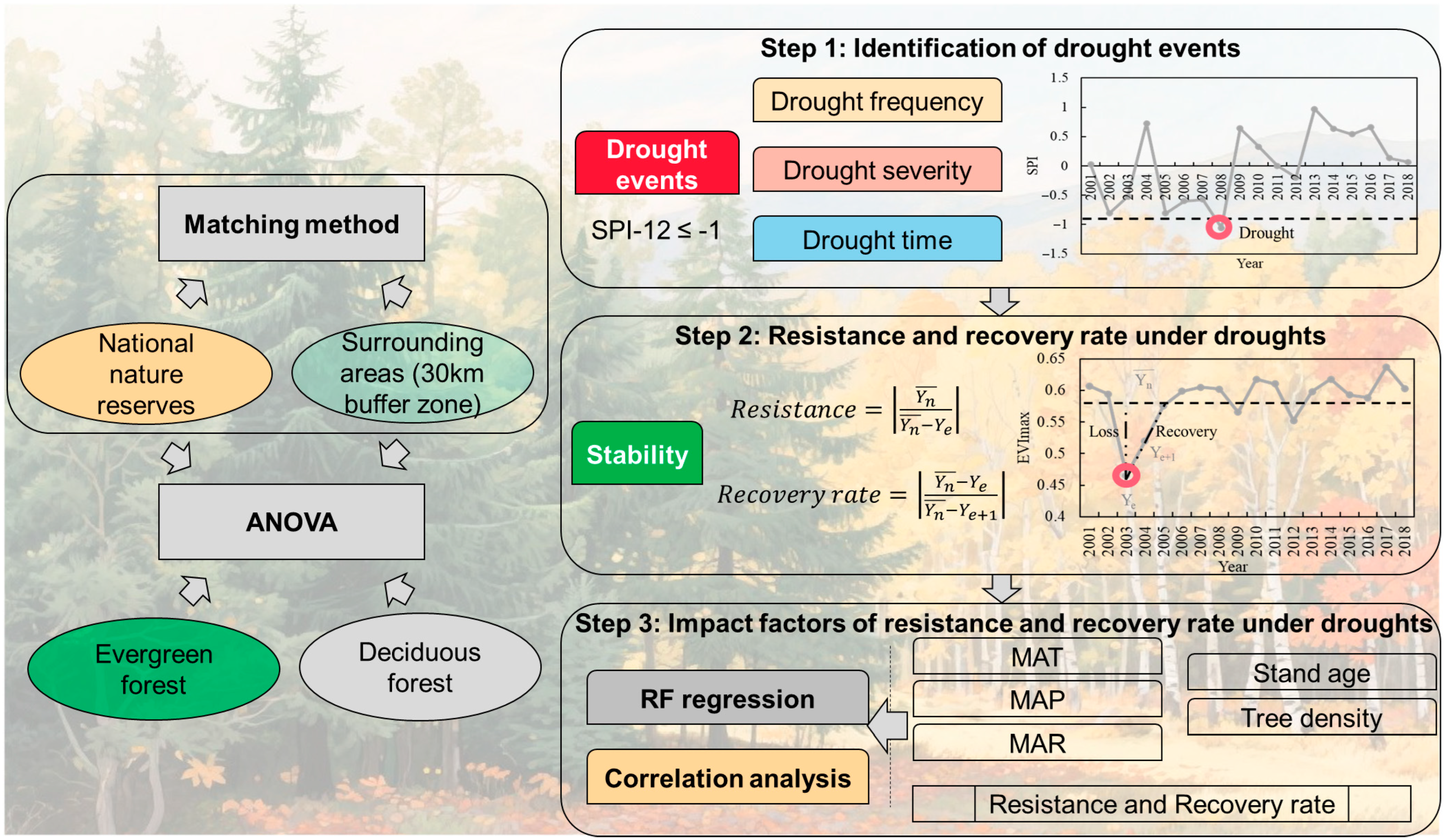 Forests 16 01716 g002