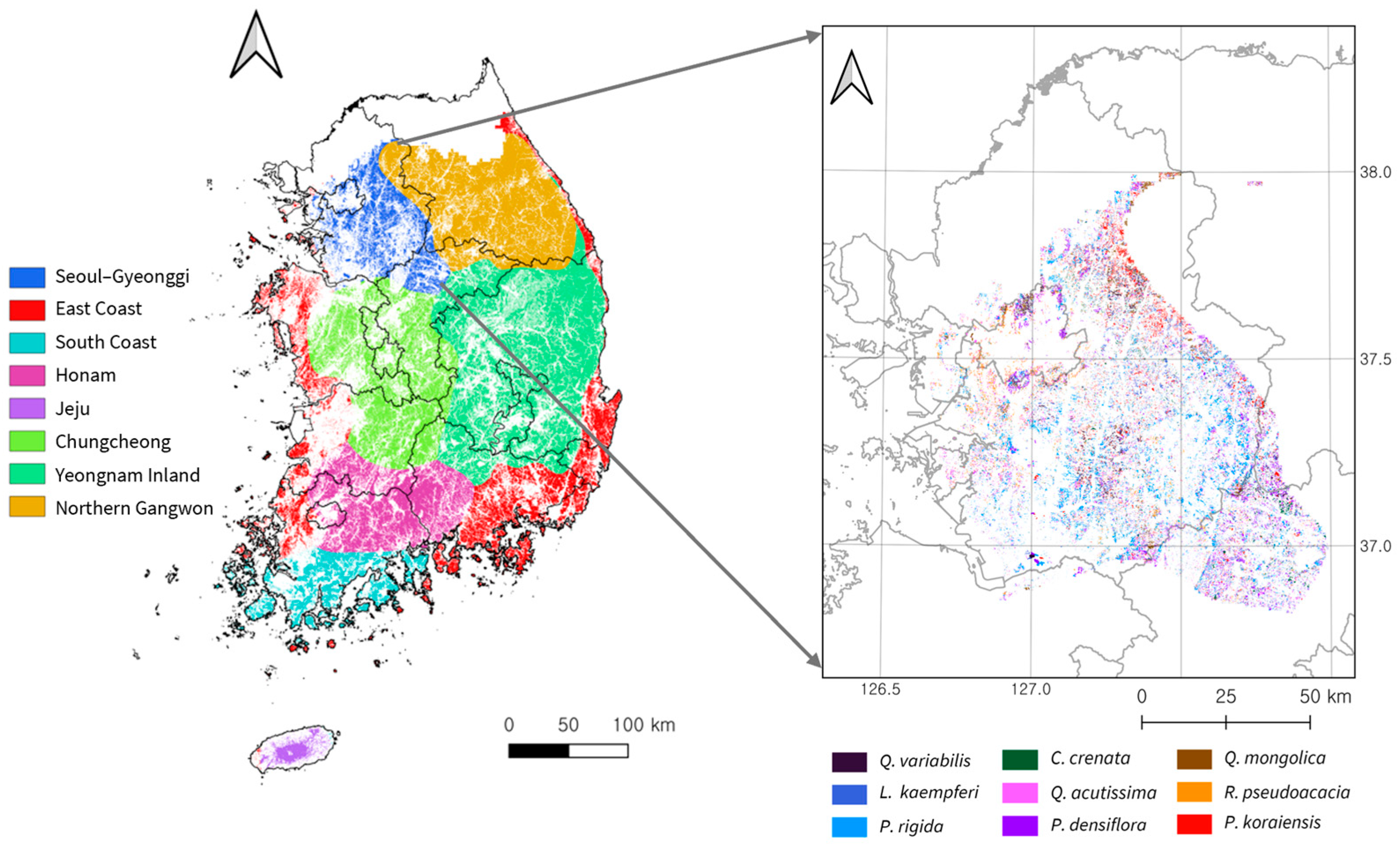 Forests 16 01718 g002