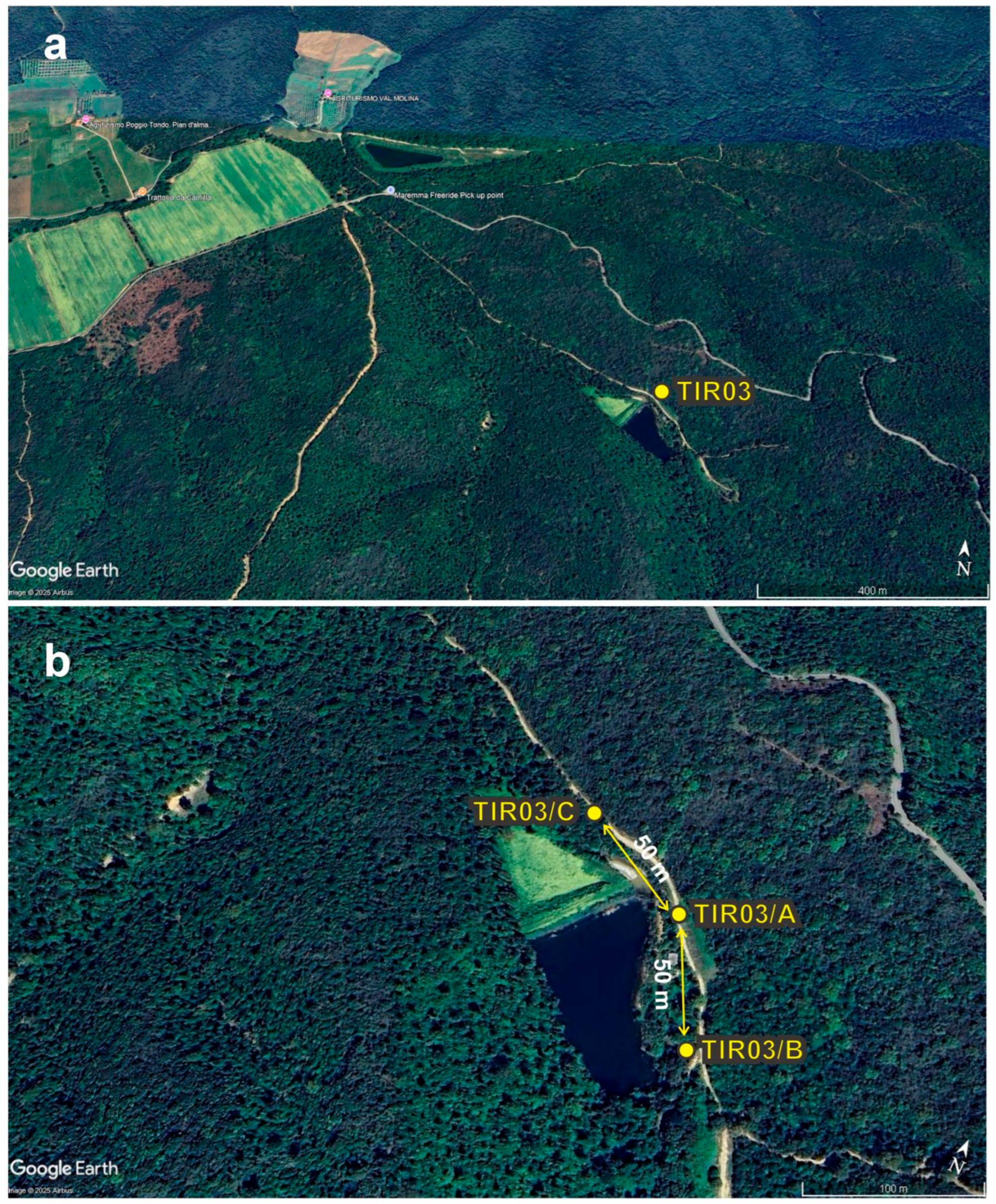 Forests 16 01722 g001