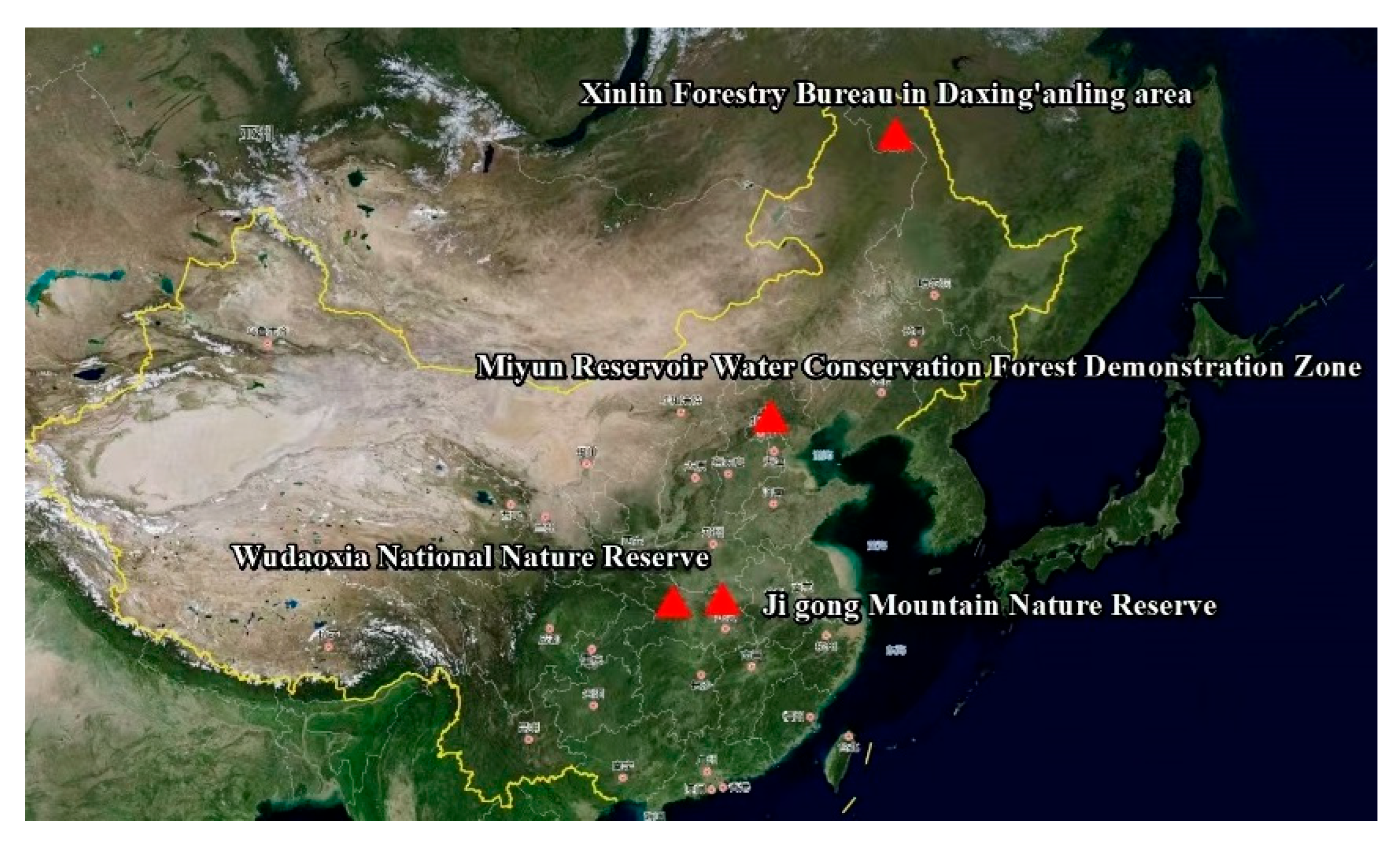 Forests 16 01725 g001 Forests 16 01725 g001