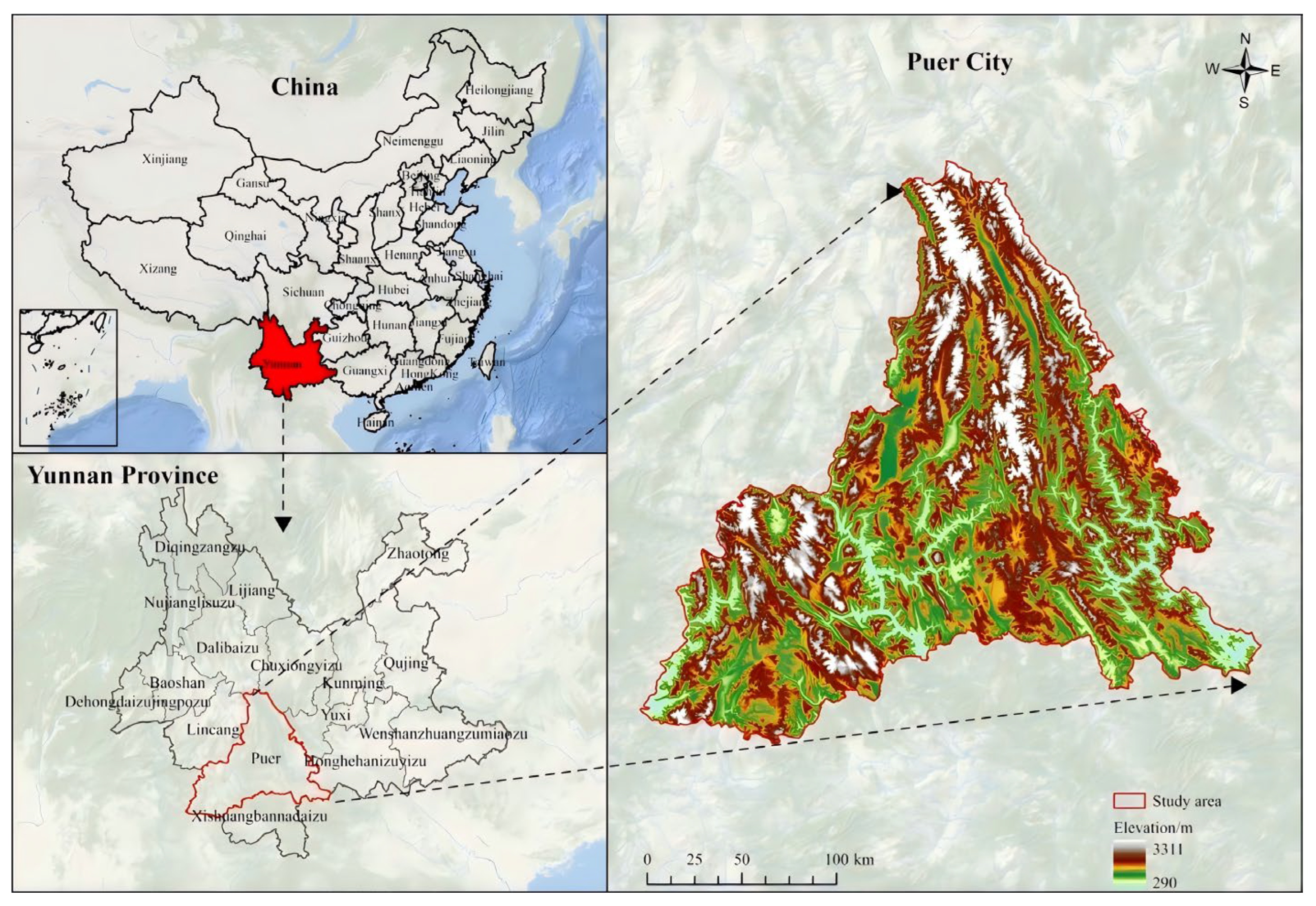 Forests 16 01727 g001 Forests 16 01727 g001