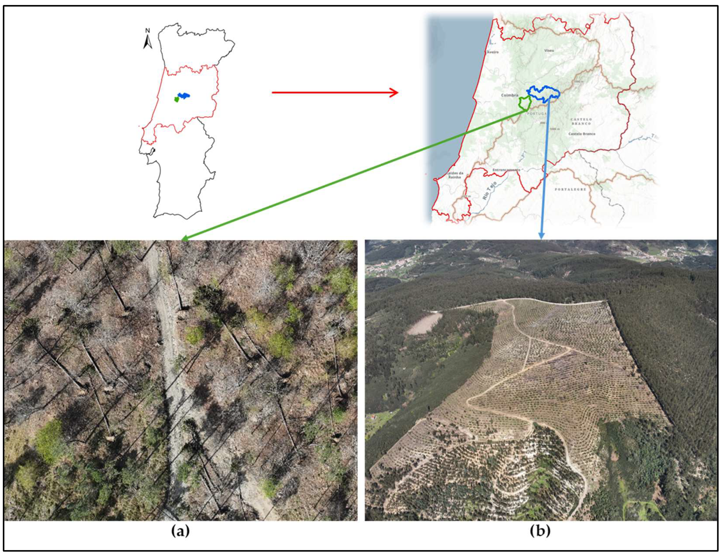 Forests 16 01730 g001