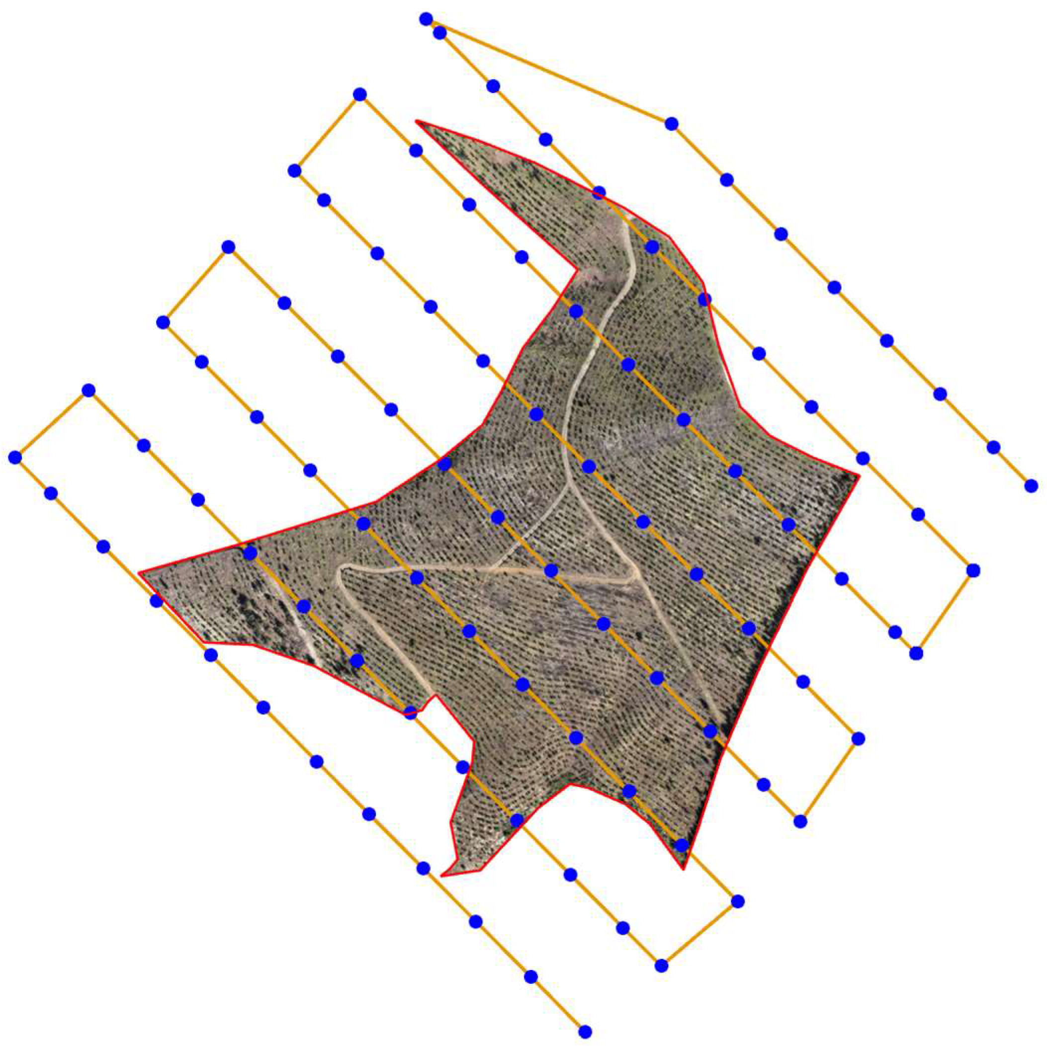 Forests 16 01730 g002