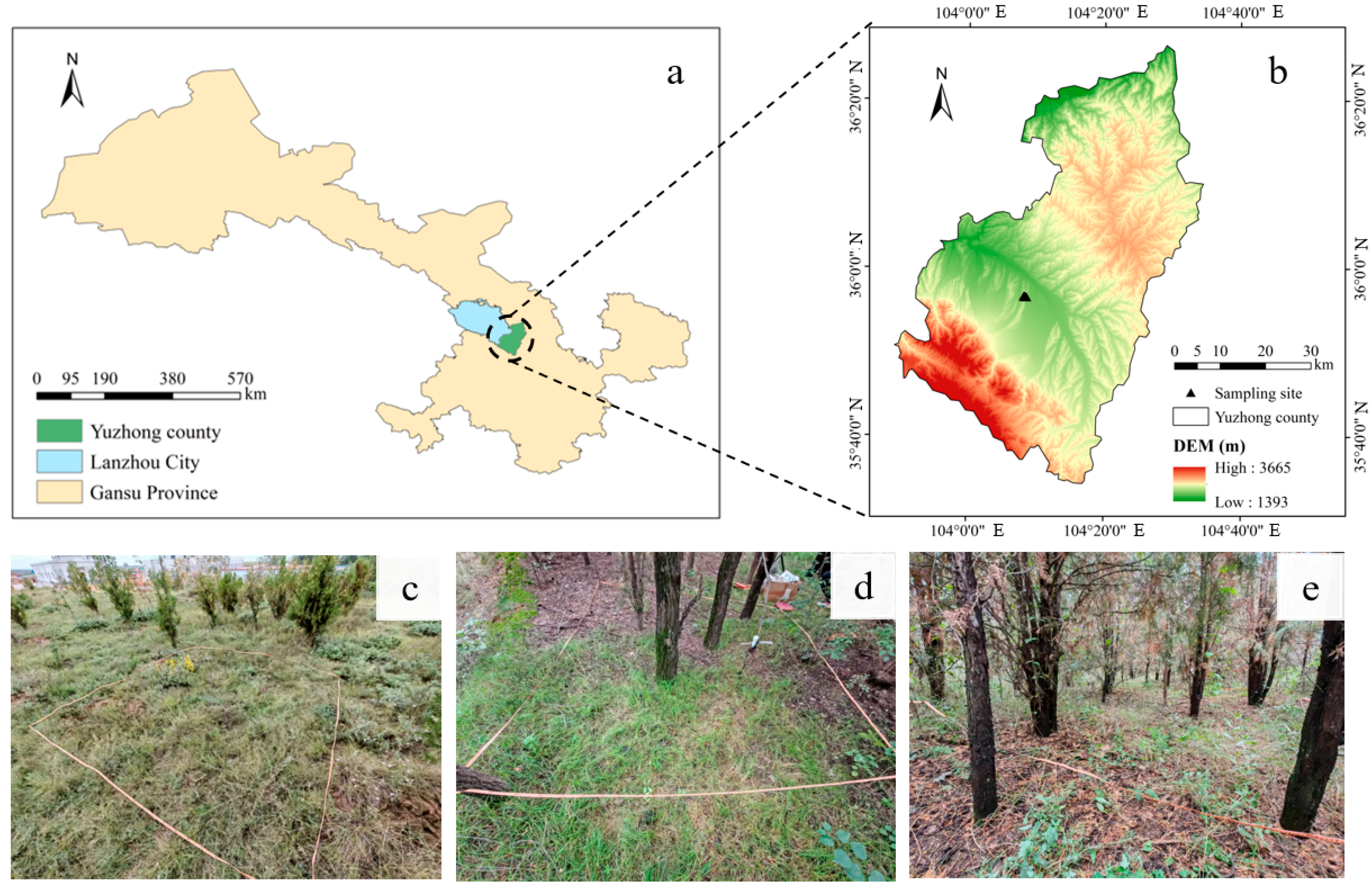 Forests 16 01732 g001